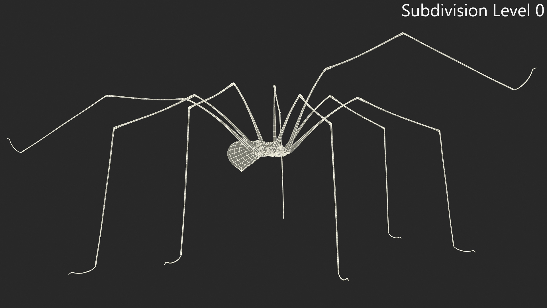 3D model Long-legged House Spider Rigged for Maya