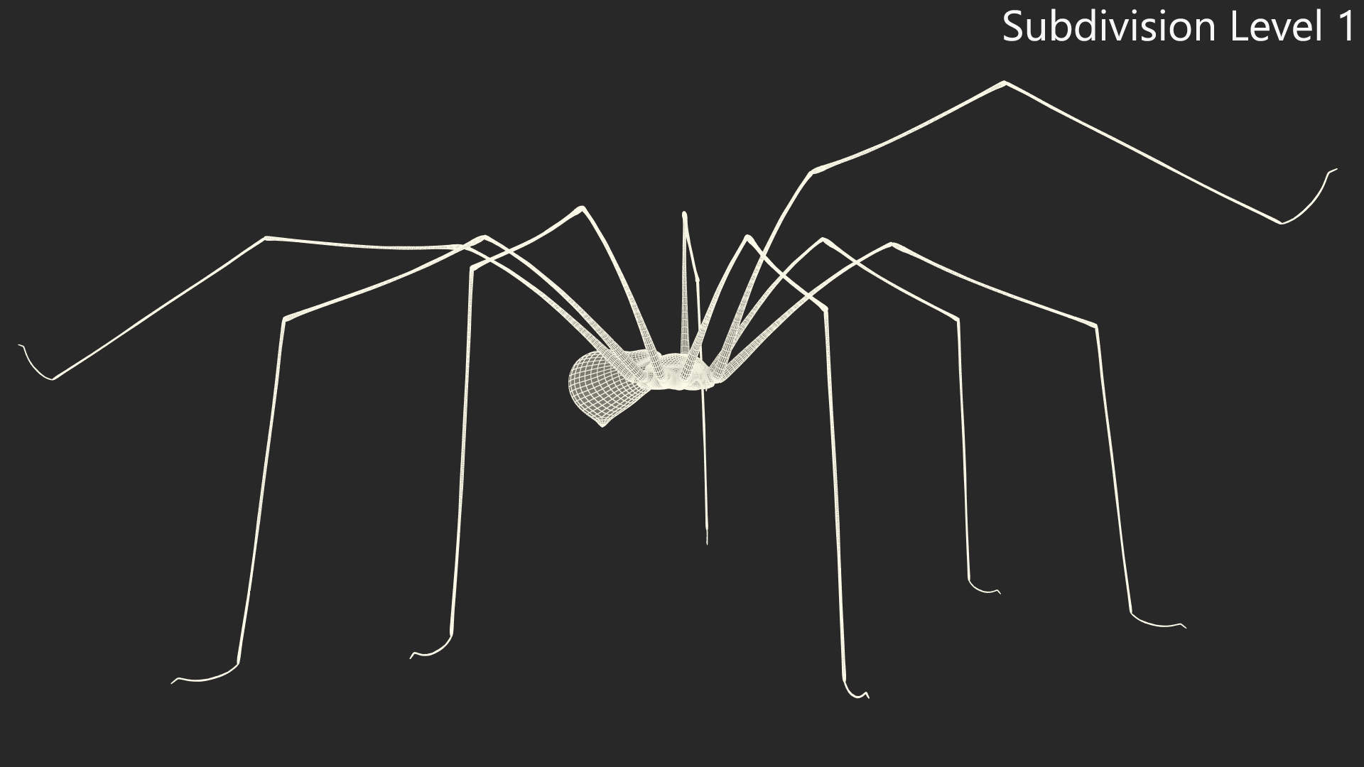 3D model Long-legged House Spider Rigged for Maya