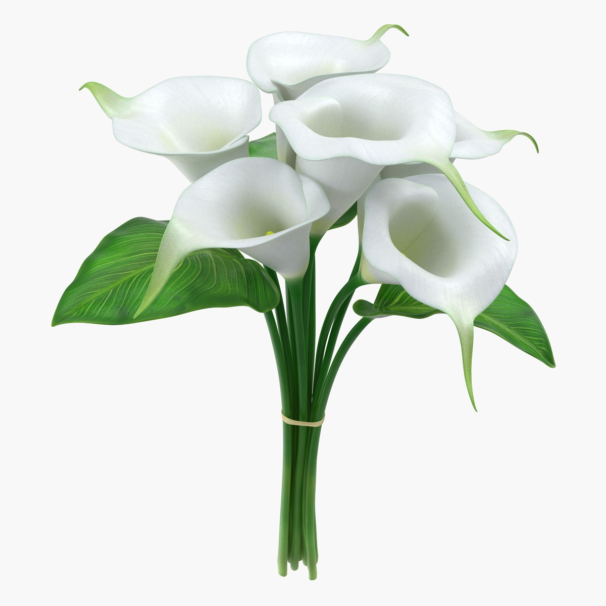 Bouquet Calla Lilies