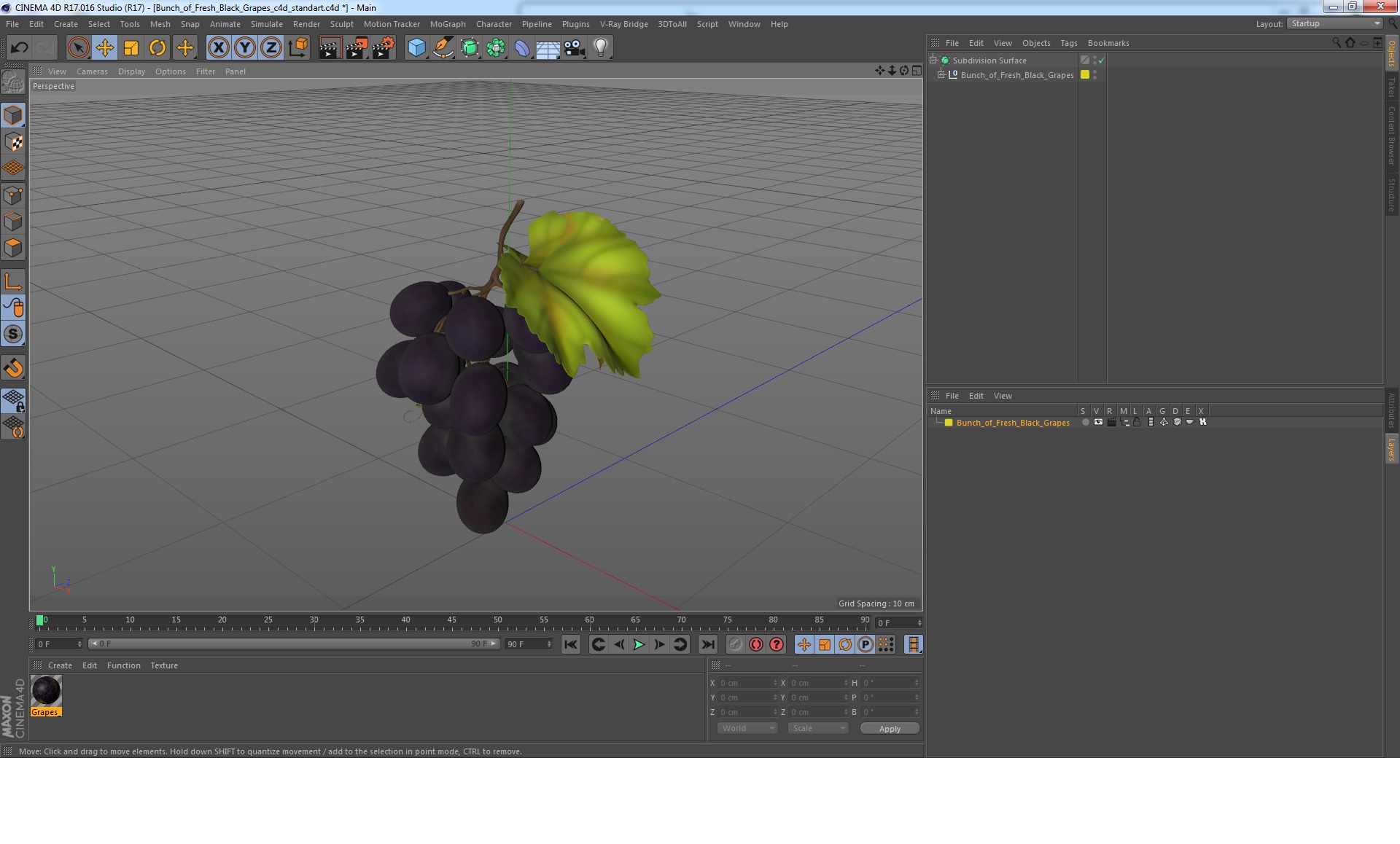 Bunch of Fresh Black Grapes 3D