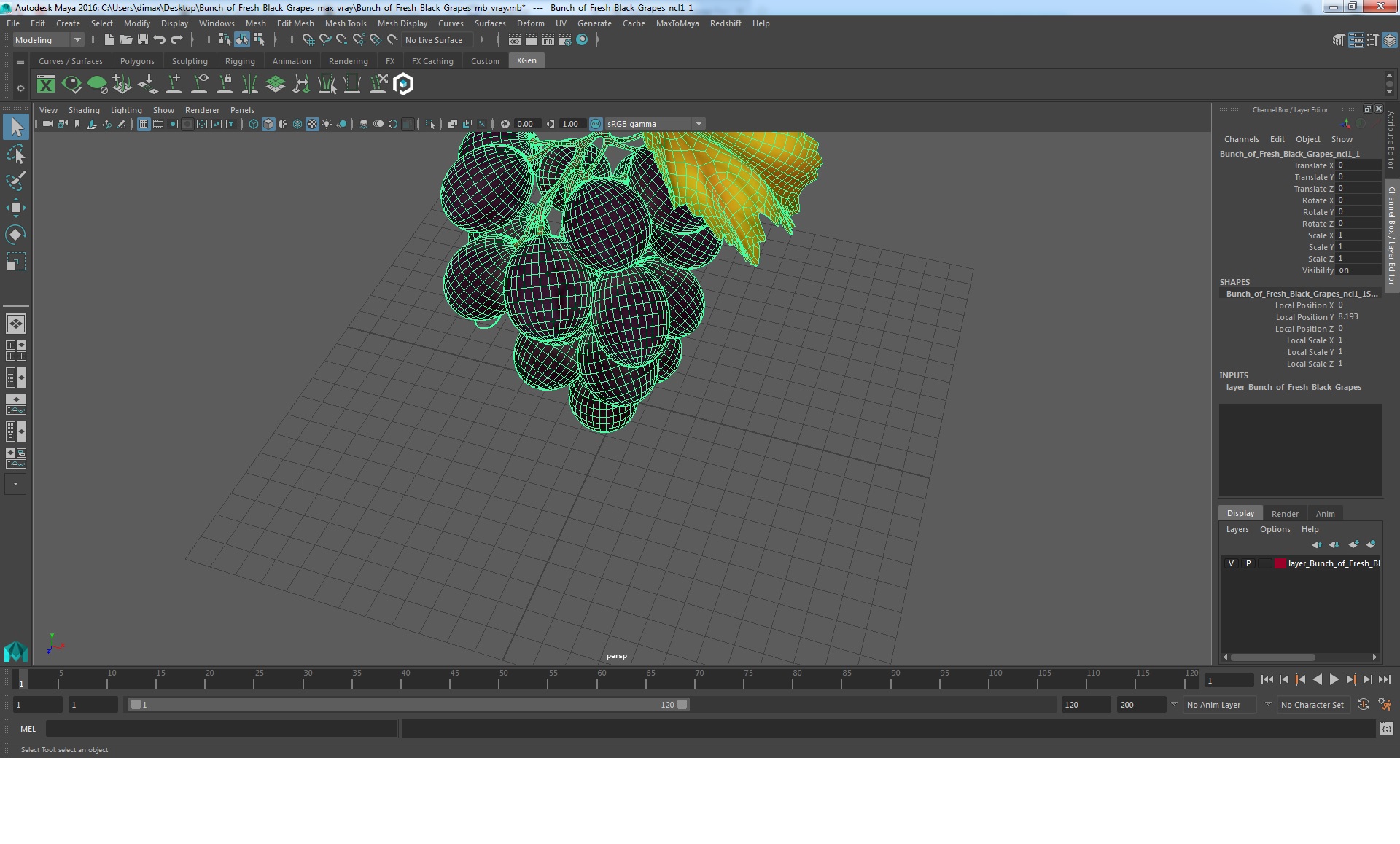 Bunch of Fresh Black Grapes 3D