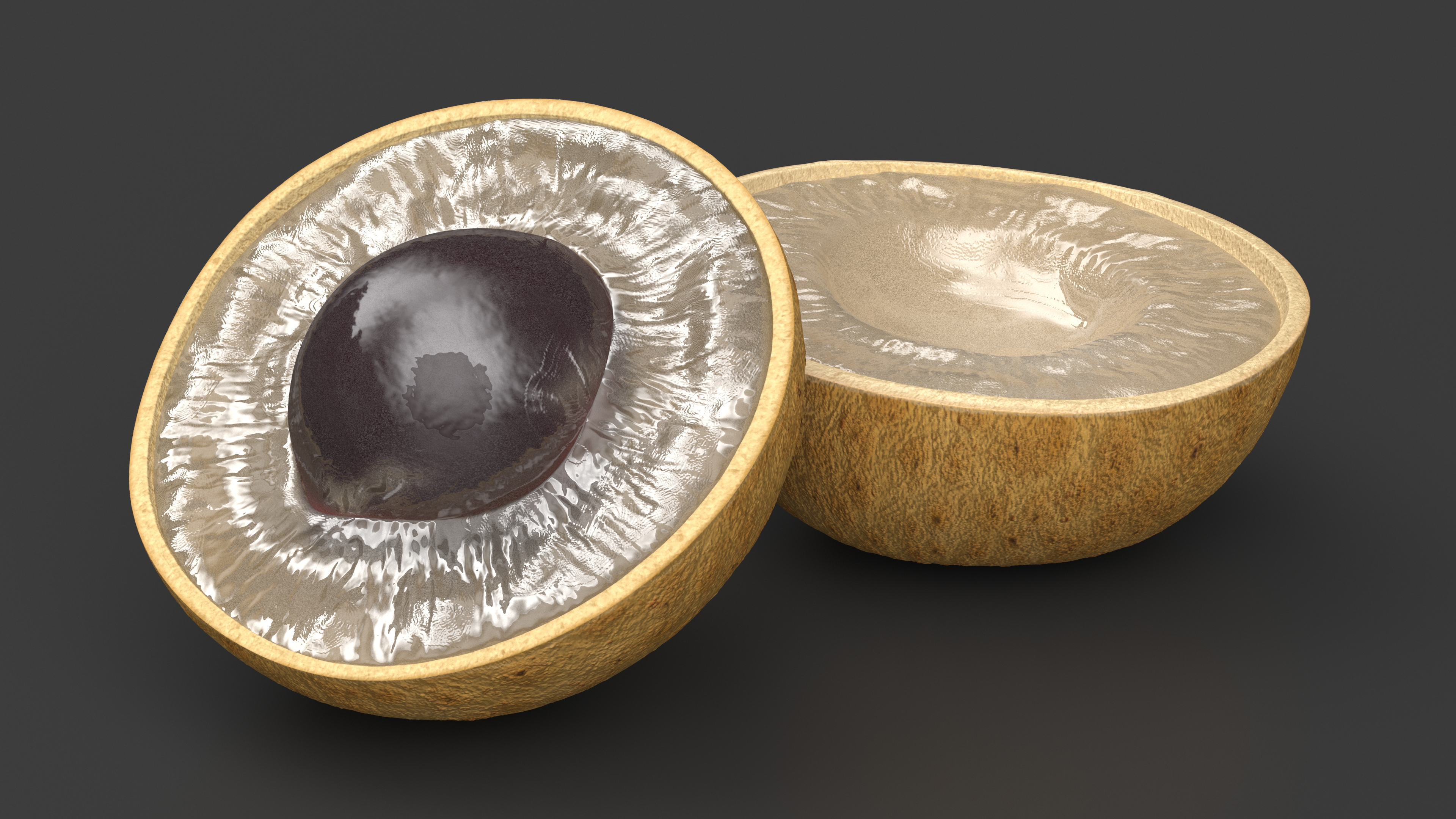 3D Realistic Half Cut Longan Fruit
