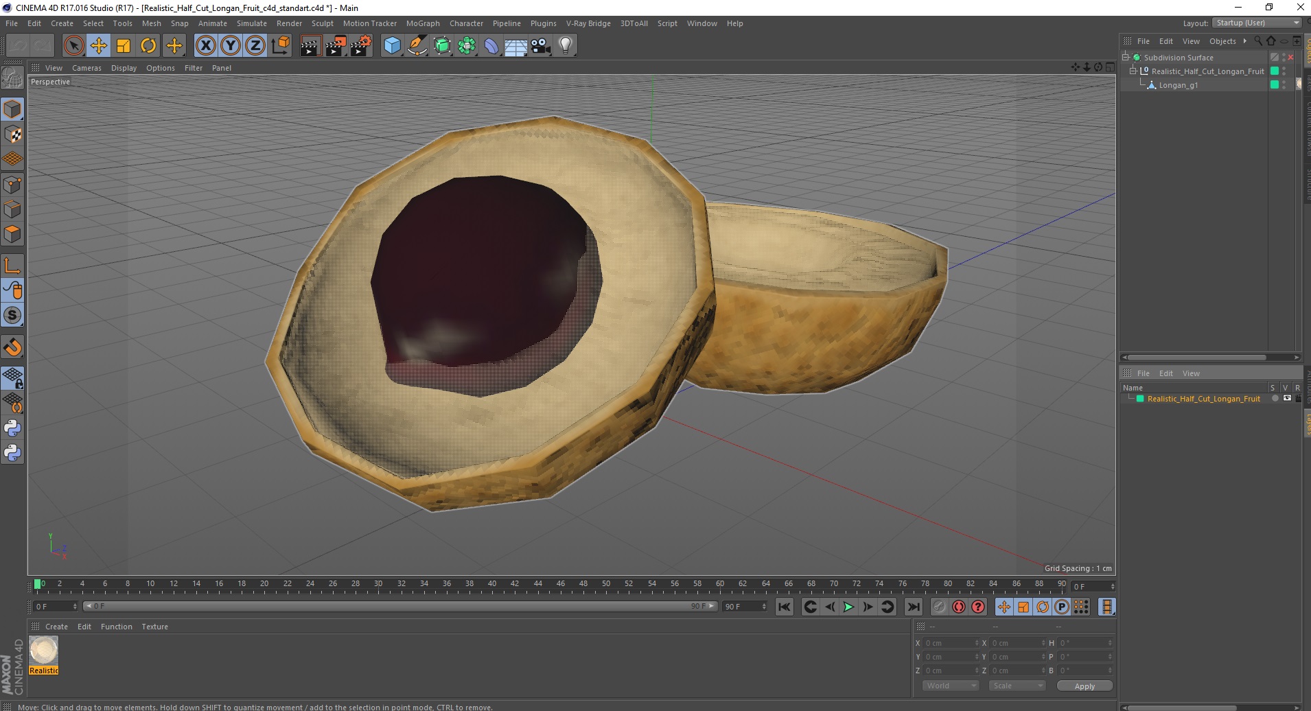 3D Realistic Half Cut Longan Fruit