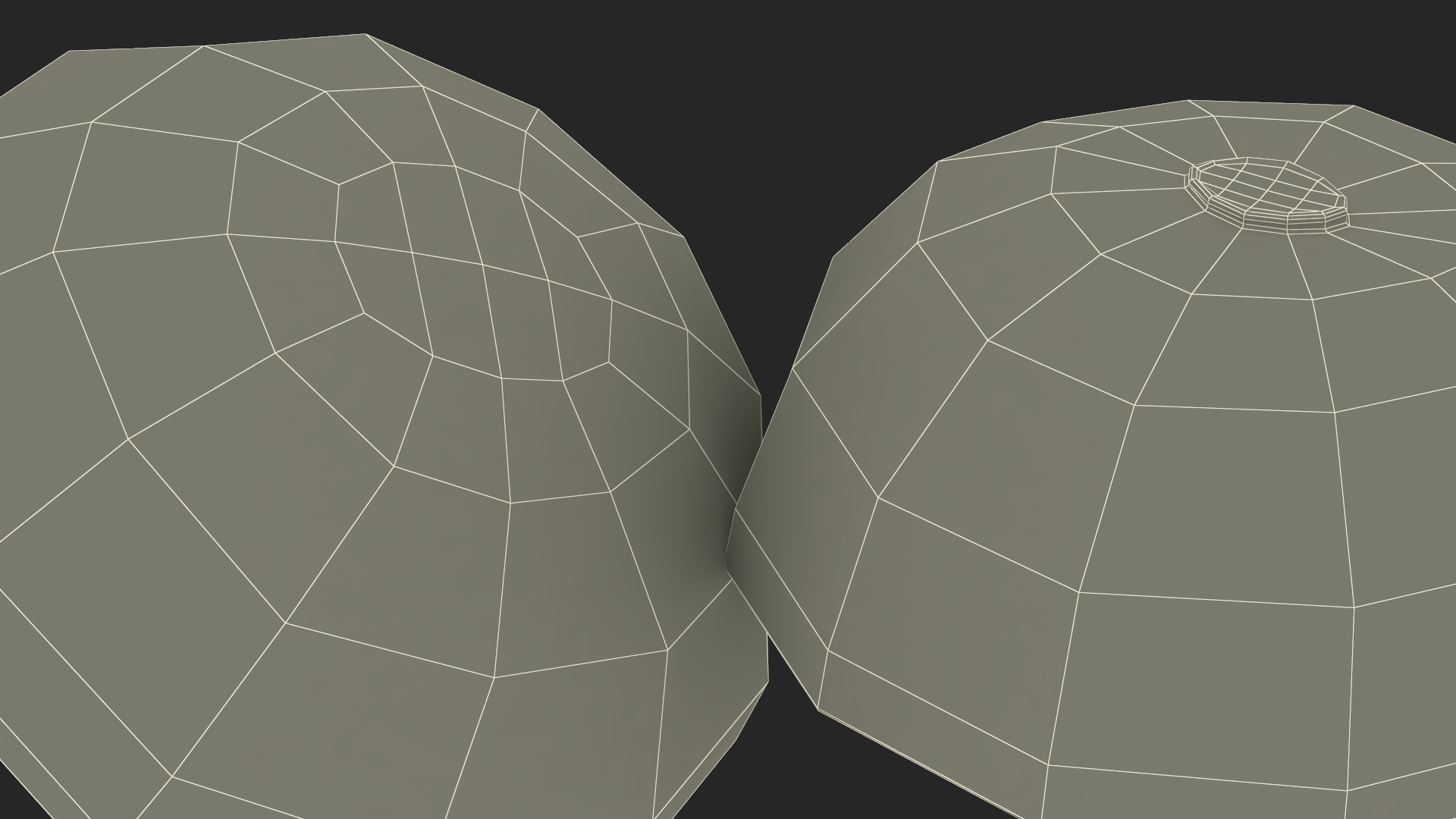 3D Realistic Half Cut Longan Fruit
