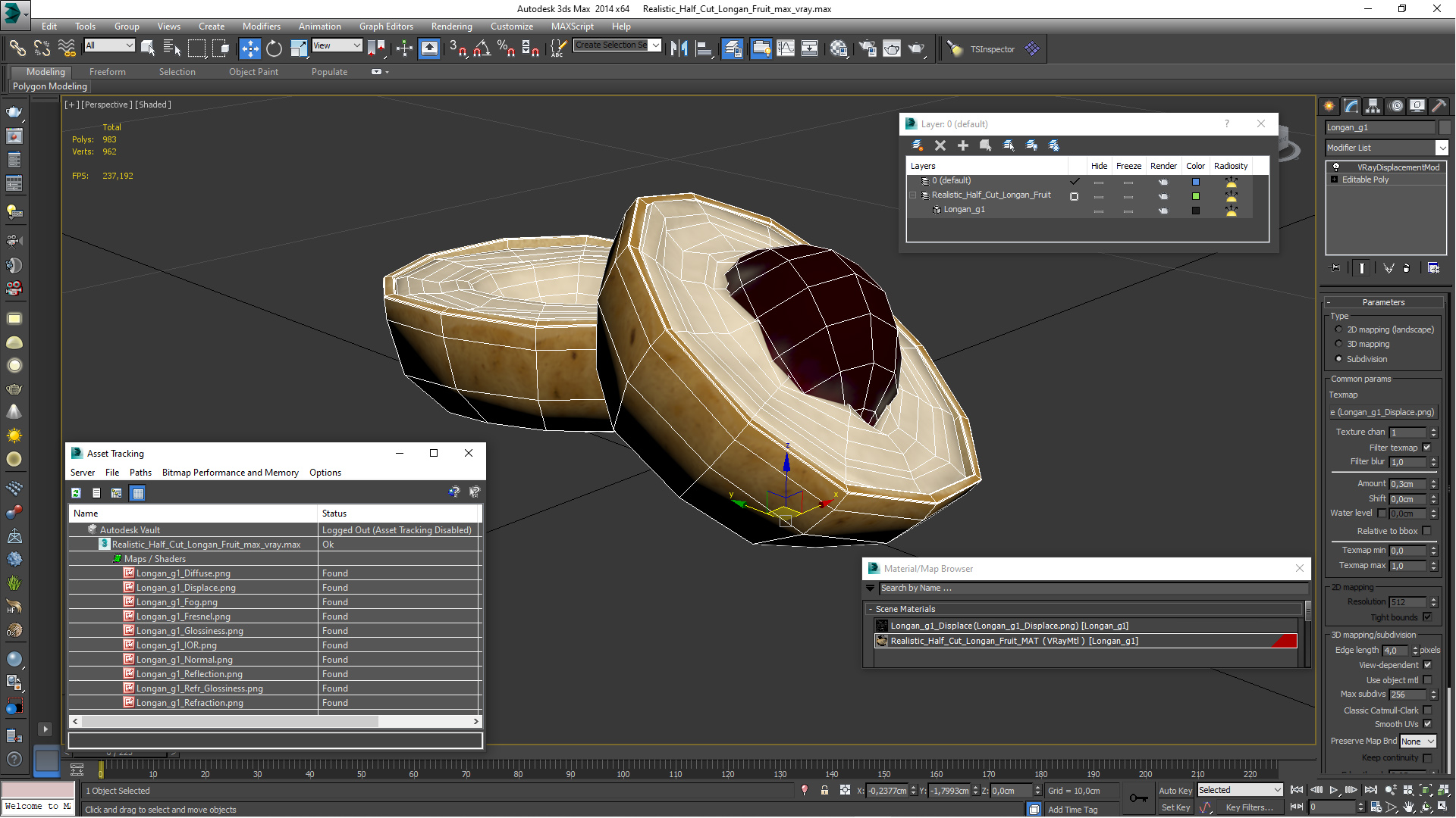 3D Realistic Half Cut Longan Fruit