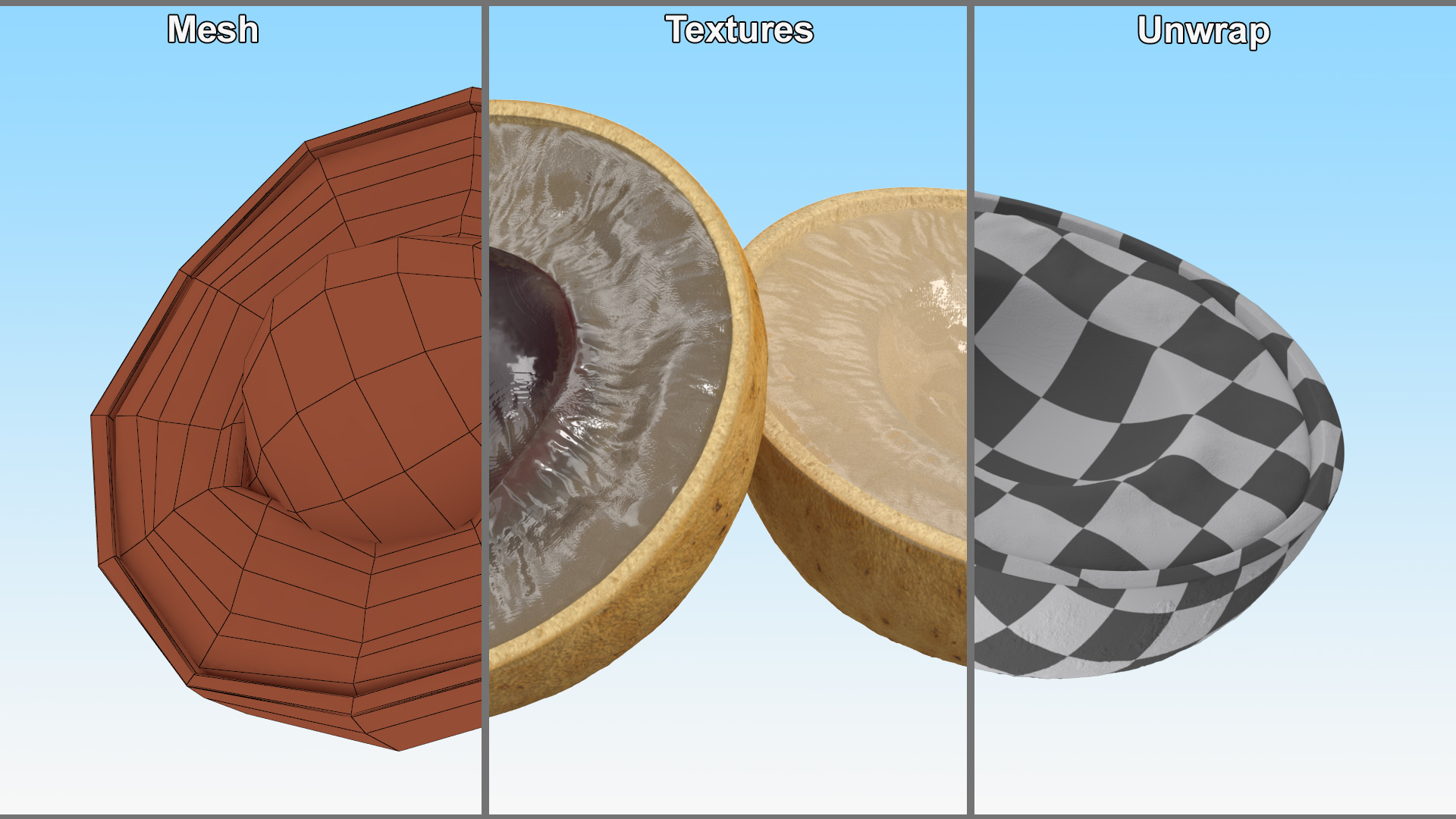 3D Realistic Half Cut Longan Fruit