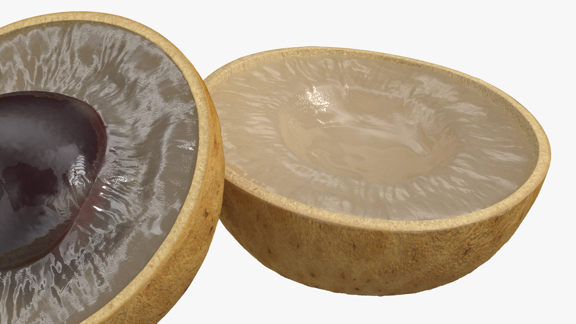 3D Realistic Half Cut Longan Fruit