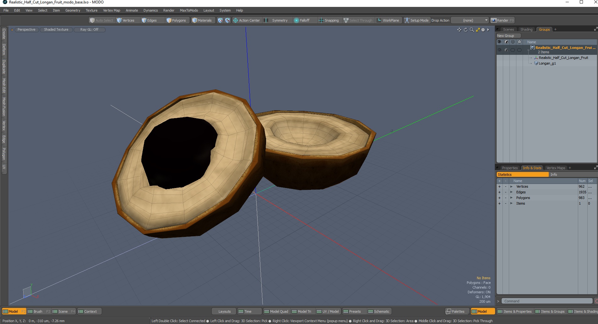 3D Realistic Half Cut Longan Fruit