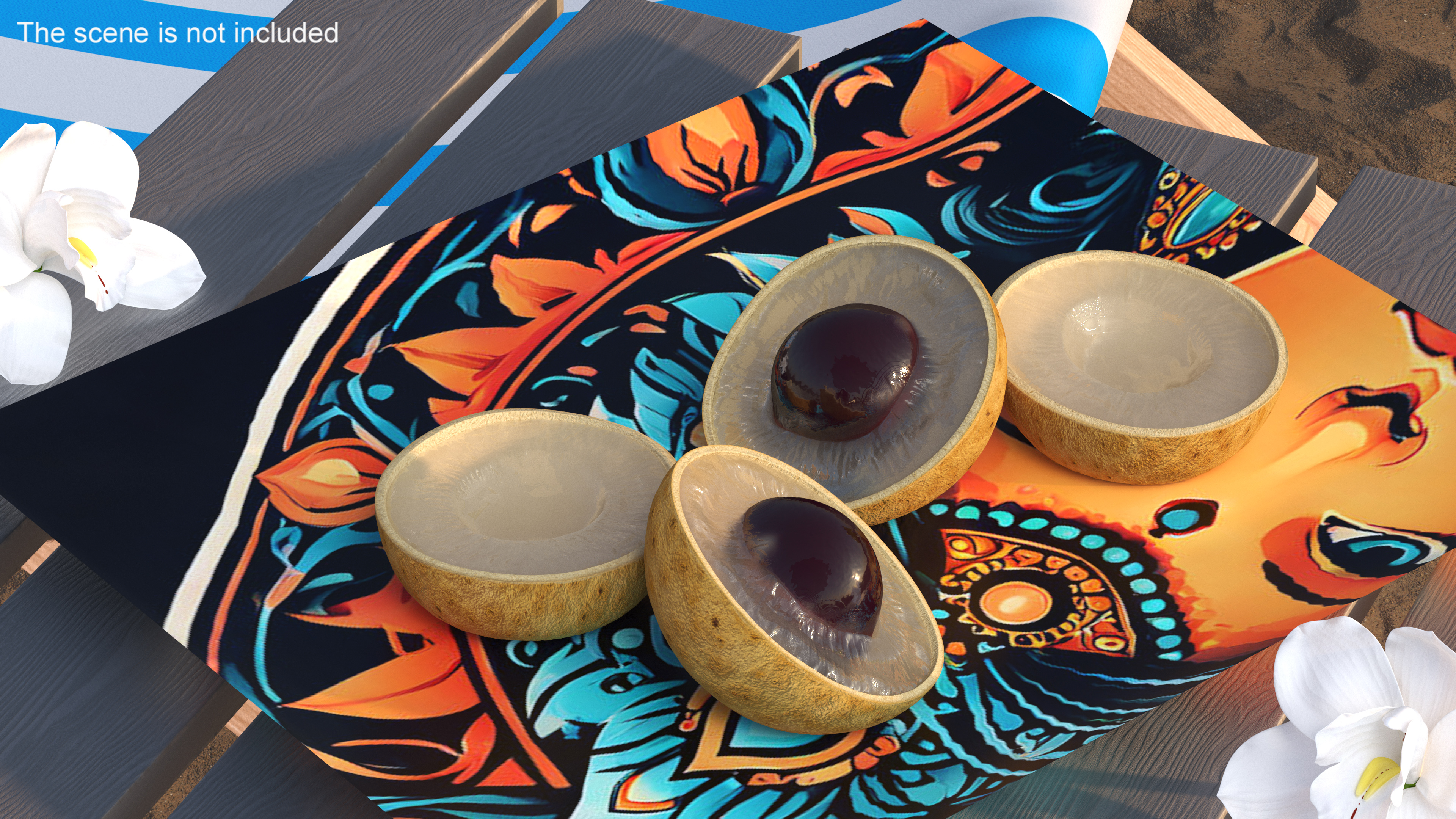 3D Realistic Half Cut Longan Fruit