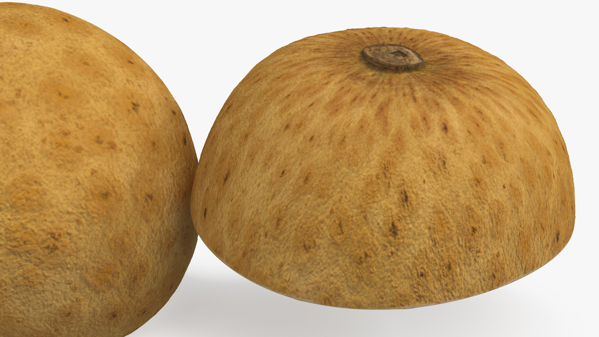 3D Realistic Half Cut Longan Fruit