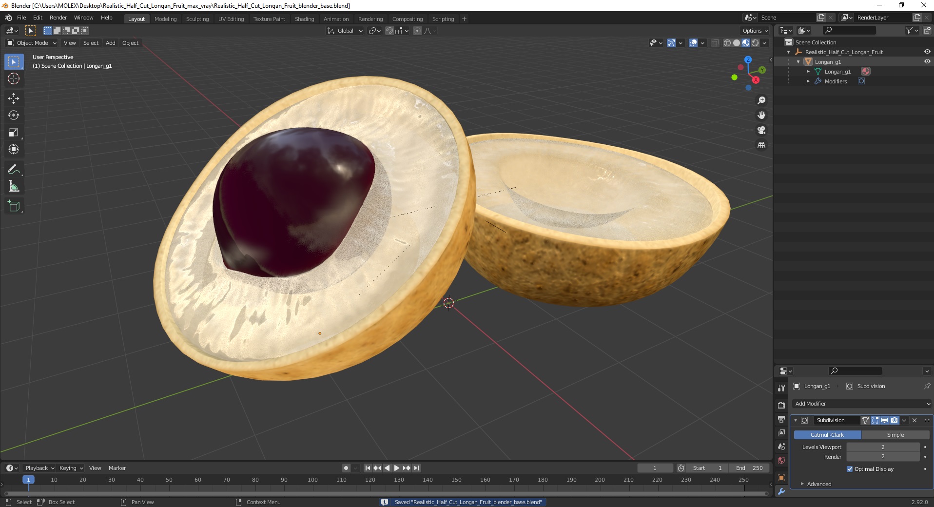 3D Realistic Half Cut Longan Fruit