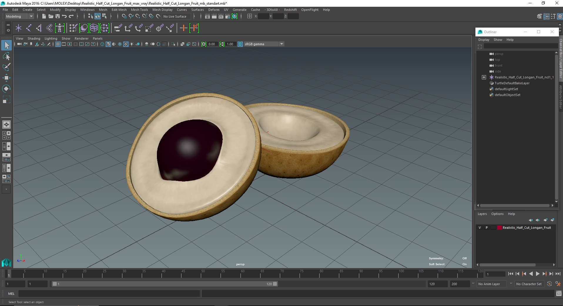 3D Realistic Half Cut Longan Fruit