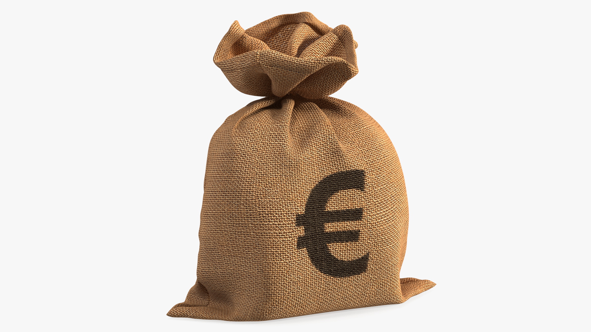 3D Euro Currency Sack model
