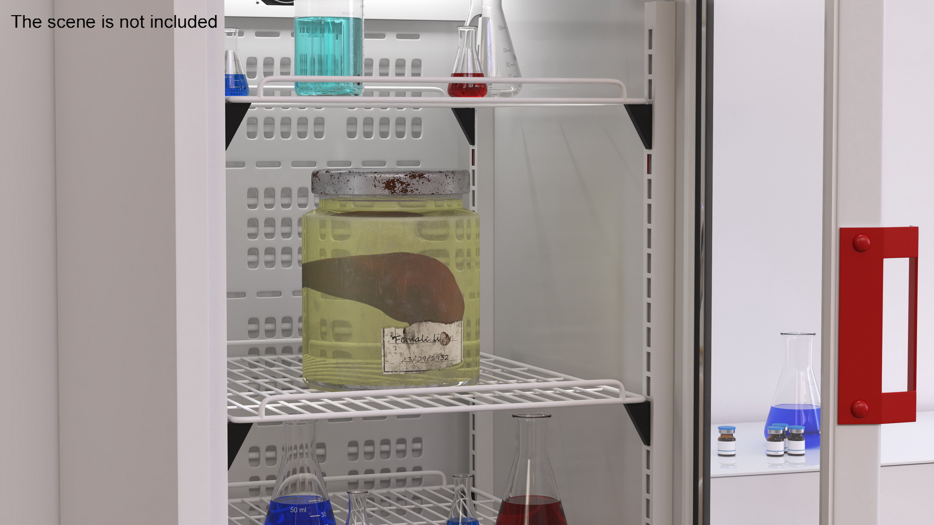 3D model Human Liver Organ in a Old Jar