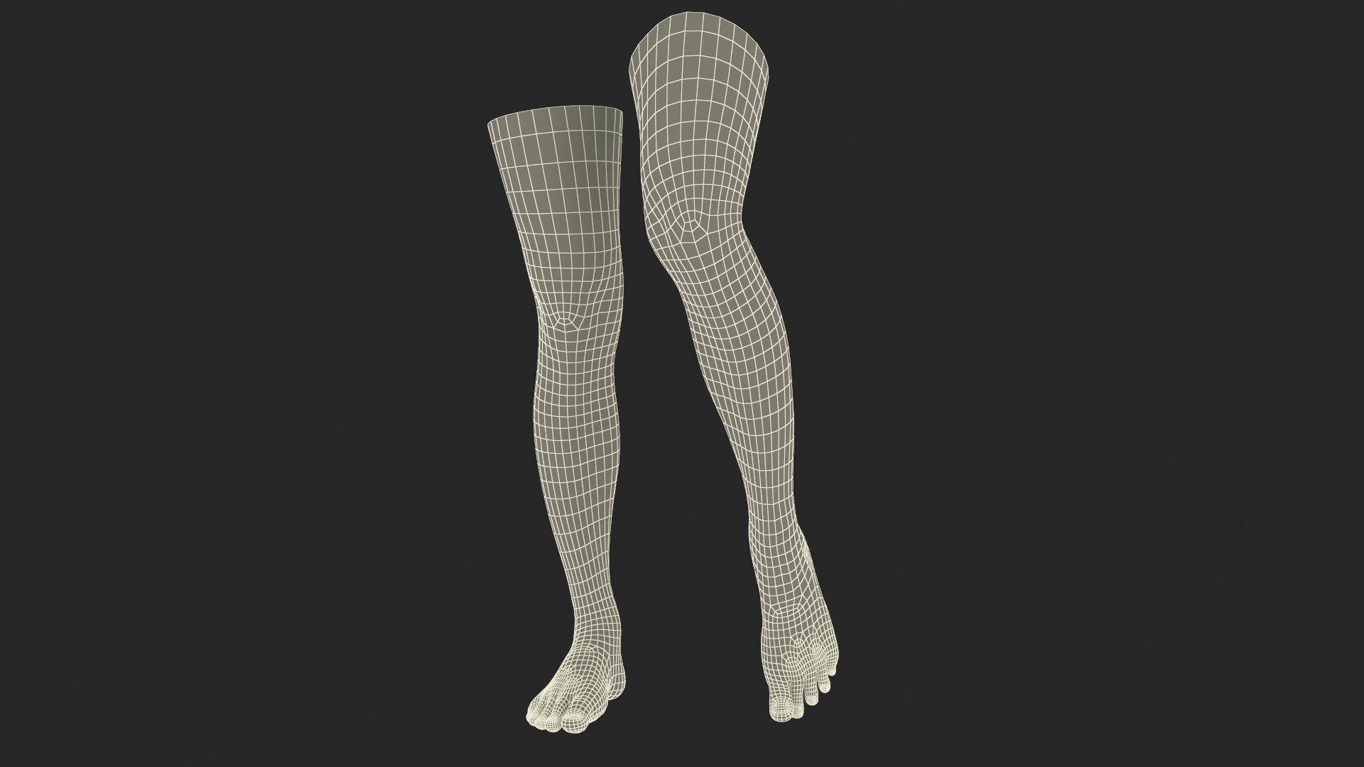 Female Legs and Feet Position 3D model
