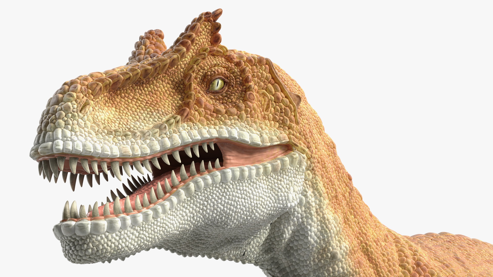 Allosaurus Yellow Coloring Rigged for Cinema 4D 3D