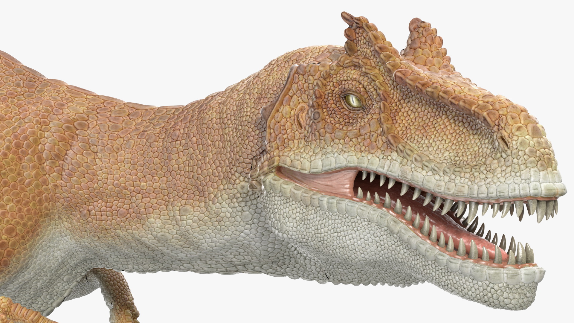 Allosaurus Yellow Coloring Rigged for Cinema 4D 3D