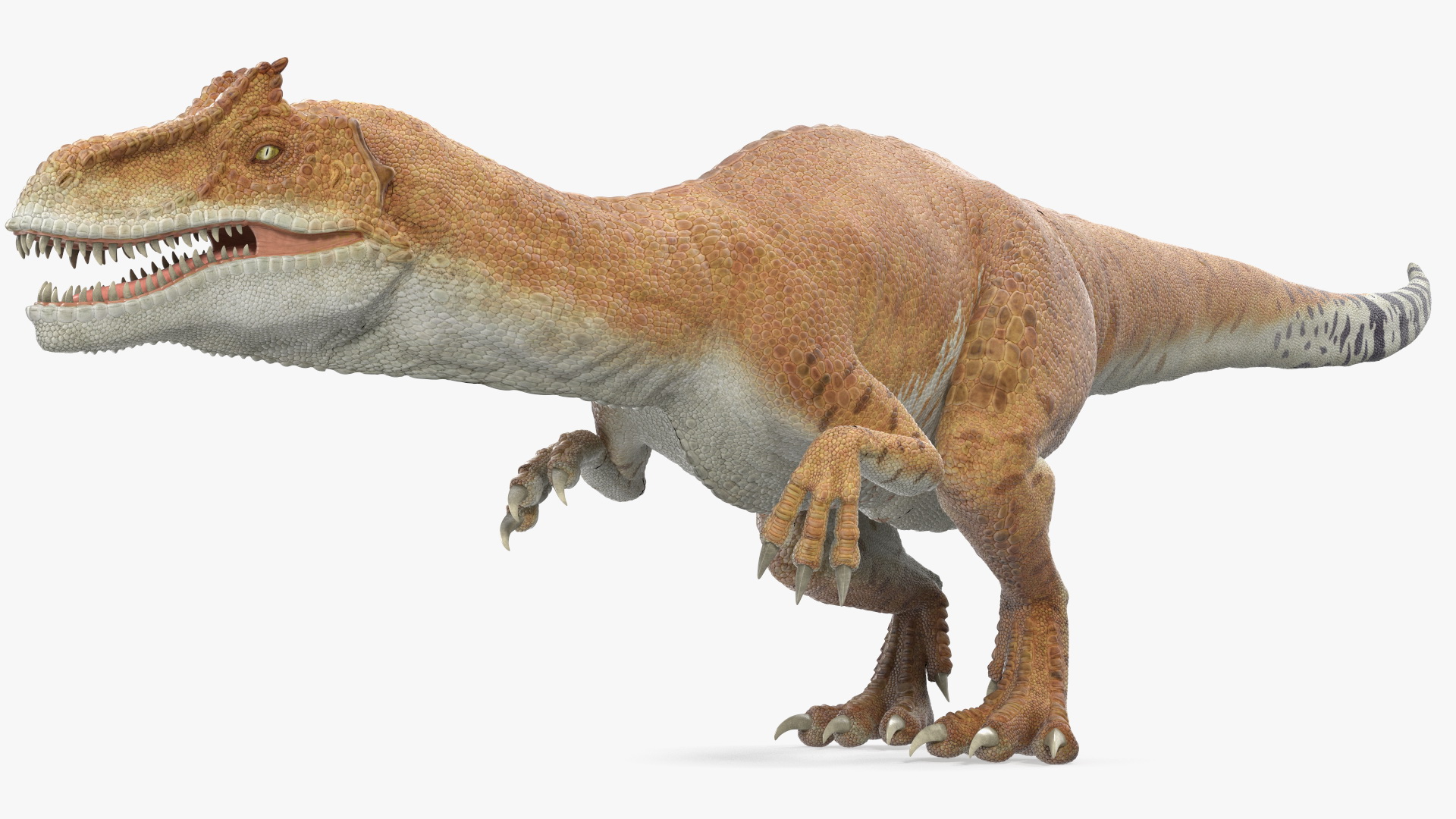 Allosaurus Yellow Coloring Rigged for Cinema 4D 3D