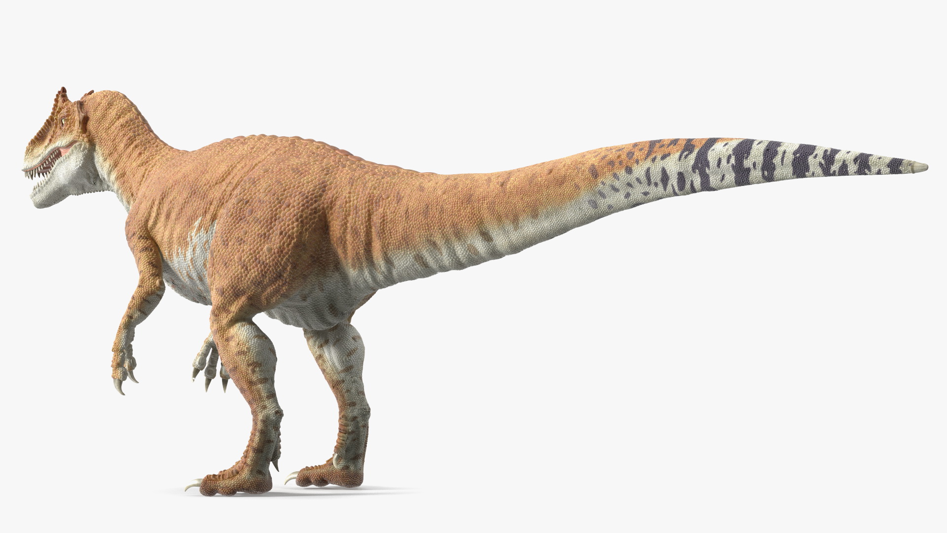 Allosaurus Yellow Coloring Rigged for Cinema 4D 3D