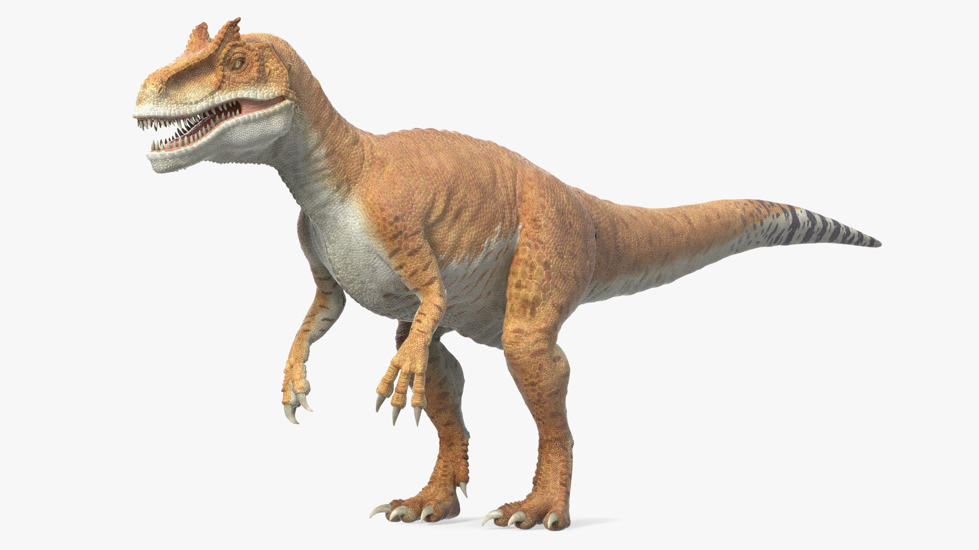 Allosaurus Yellow Coloring Rigged for Cinema 4D 3D