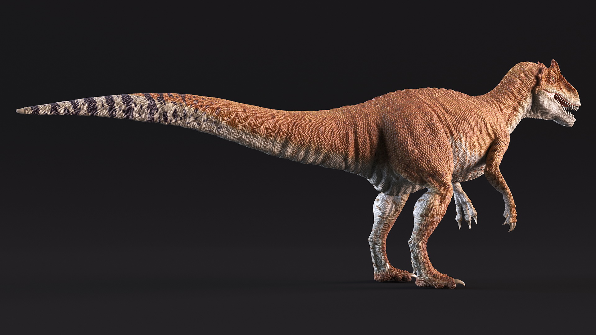 Allosaurus Yellow Coloring Rigged for Cinema 4D 3D