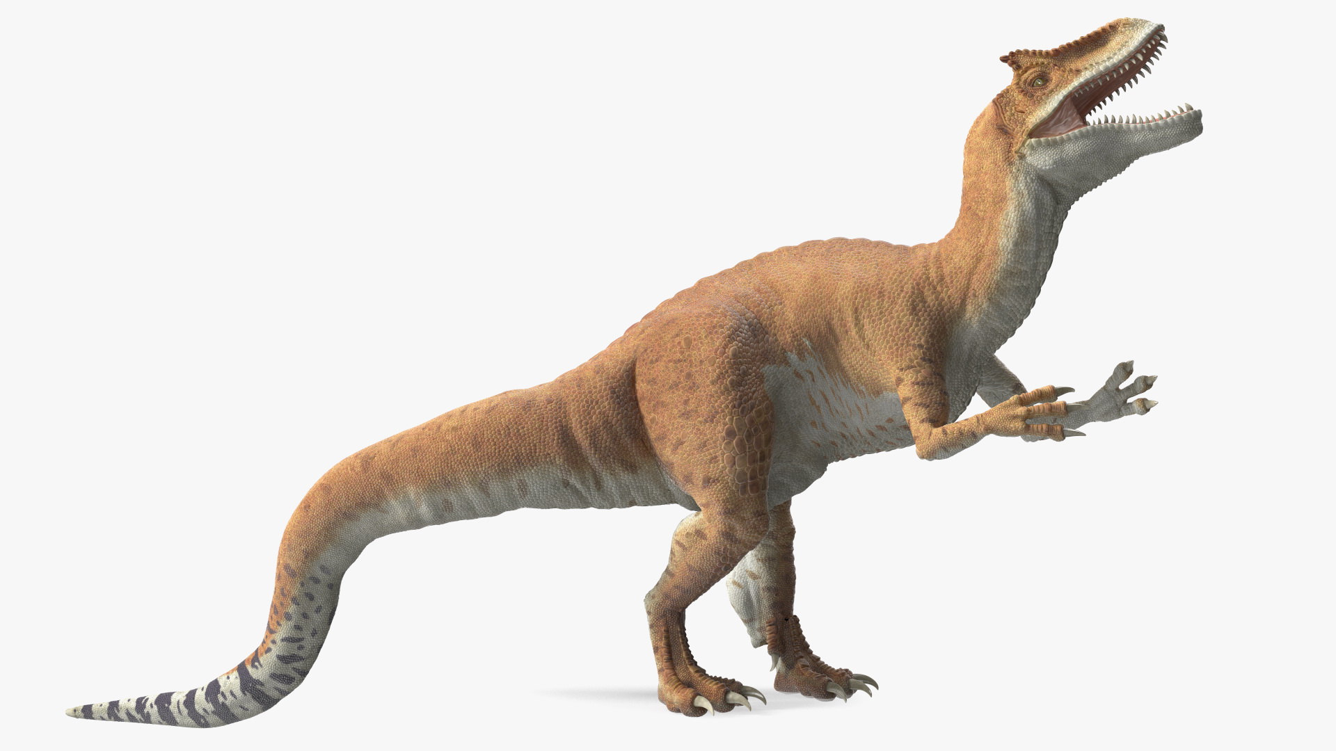 Allosaurus Yellow Coloring Rigged for Cinema 4D 3D