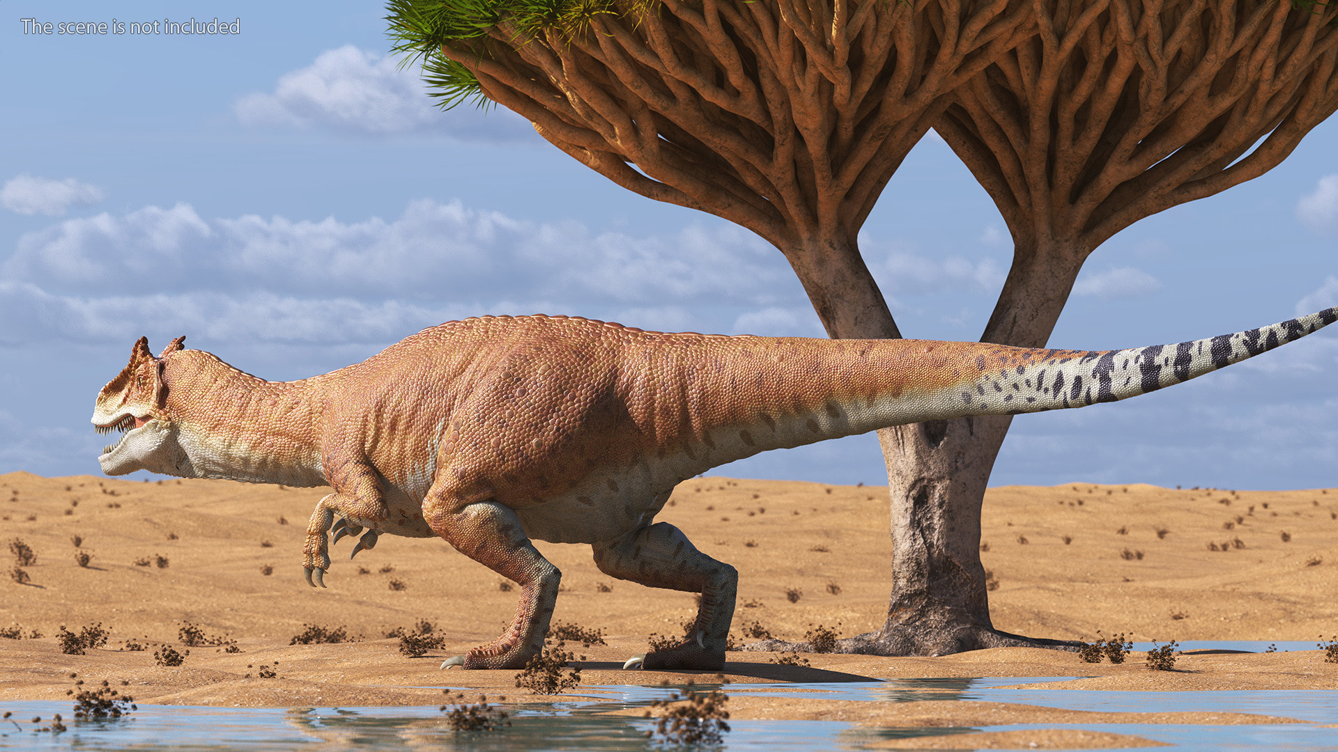Allosaurus Yellow Coloring Rigged for Cinema 4D 3D