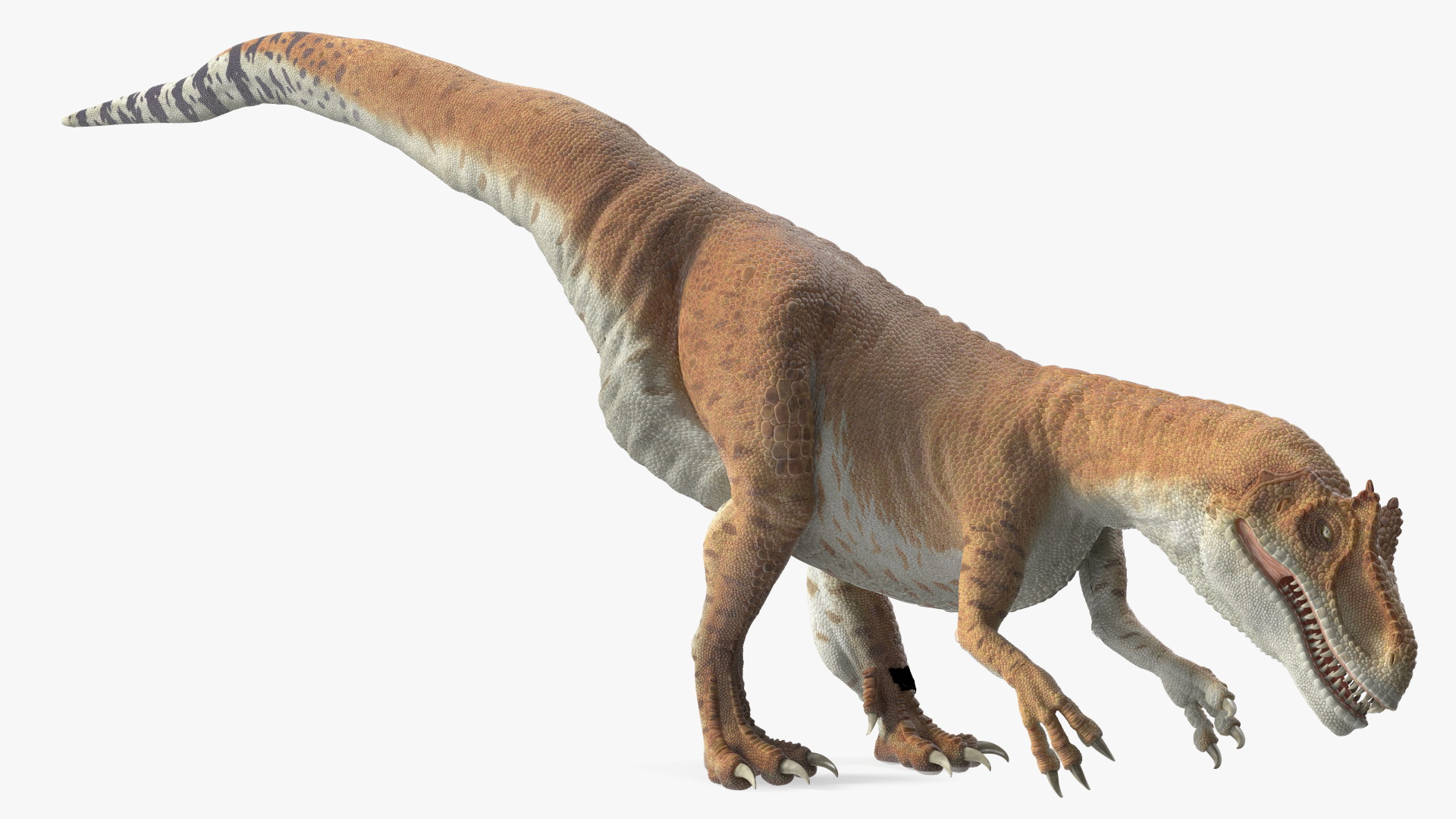 Allosaurus Yellow Coloring Rigged for Cinema 4D 3D