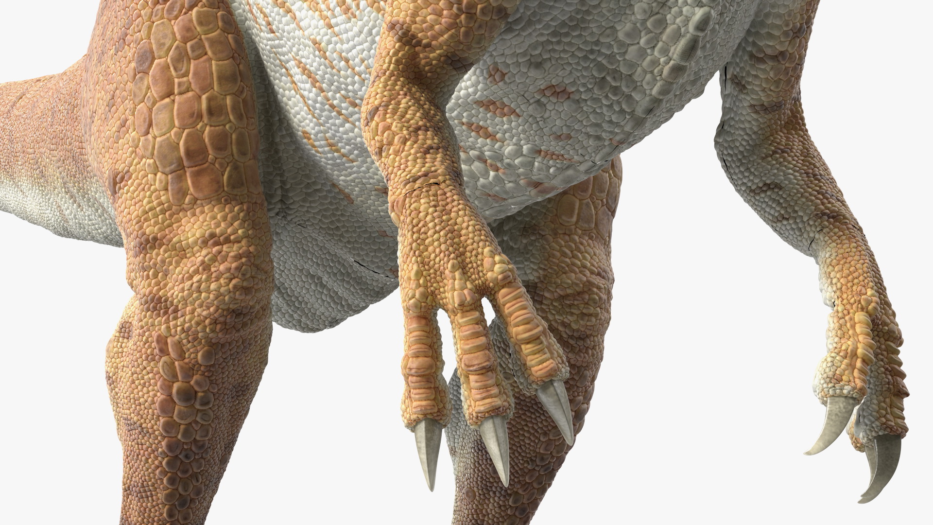 Allosaurus Yellow Coloring Rigged for Cinema 4D 3D
