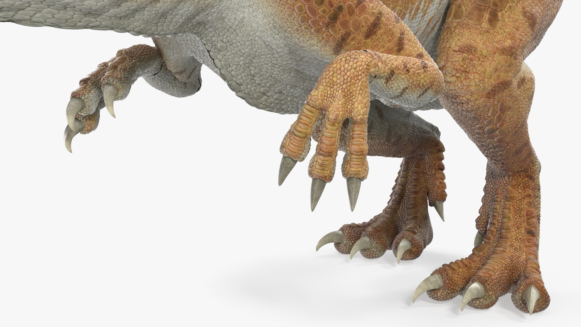 Allosaurus Yellow Coloring Rigged for Cinema 4D 3D