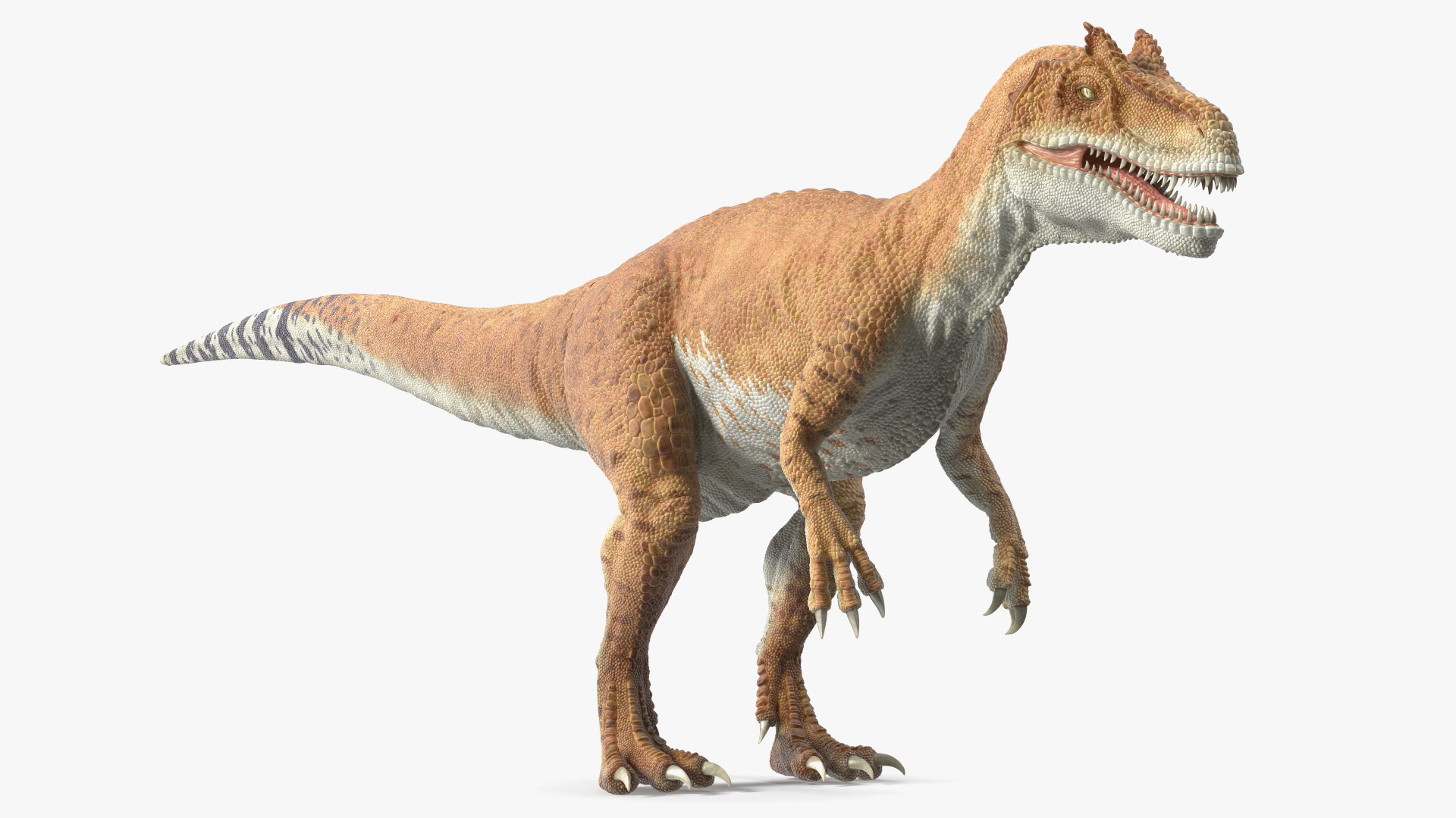 Allosaurus Yellow Coloring Rigged for Cinema 4D 3D