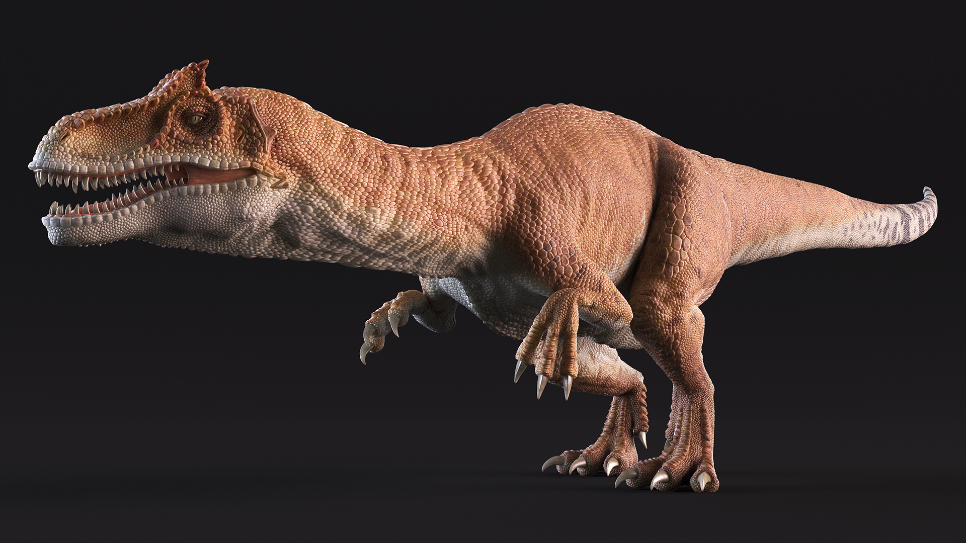 Allosaurus Yellow Coloring Rigged for Cinema 4D 3D