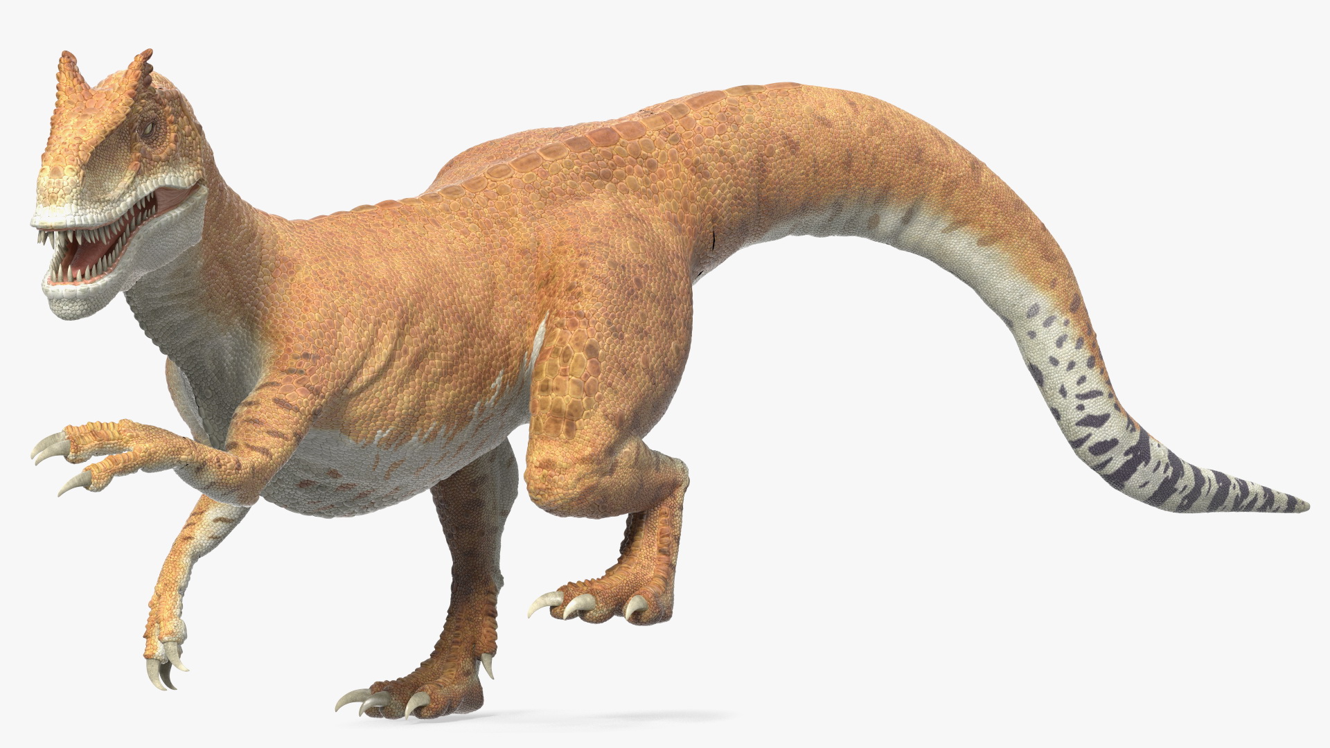 Allosaurus Yellow Coloring Rigged for Cinema 4D 3D