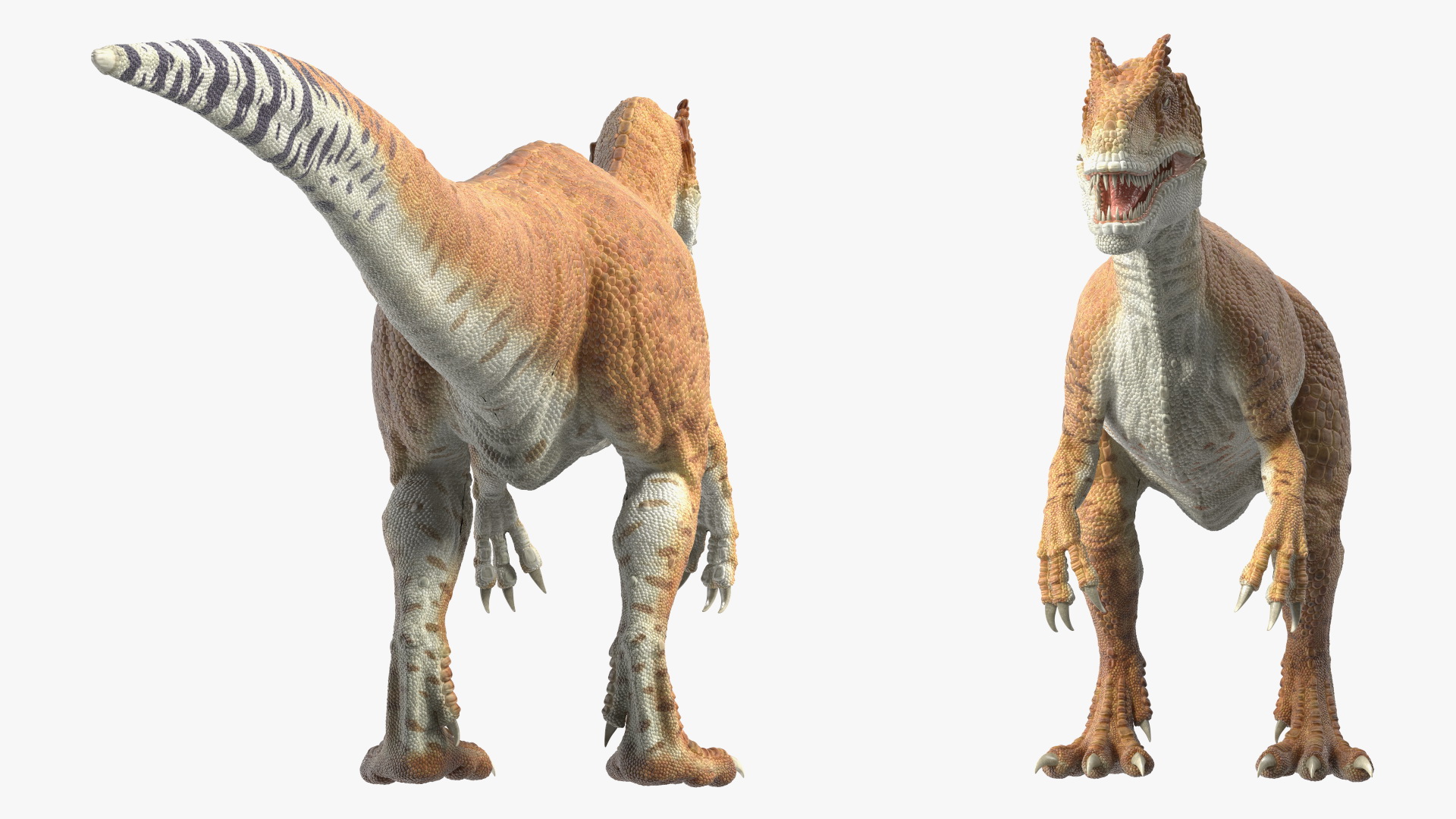 Allosaurus Yellow Coloring Rigged for Cinema 4D 3D
