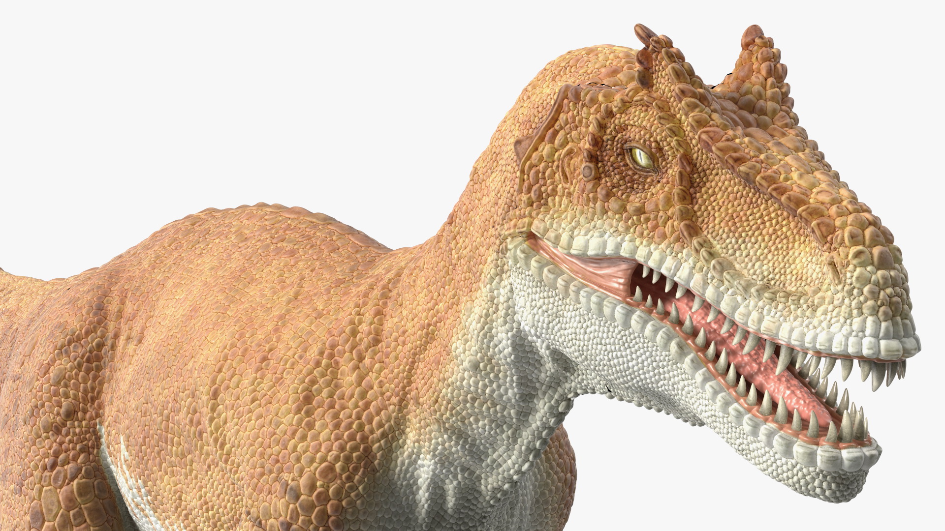 Allosaurus Yellow Coloring Rigged for Cinema 4D 3D