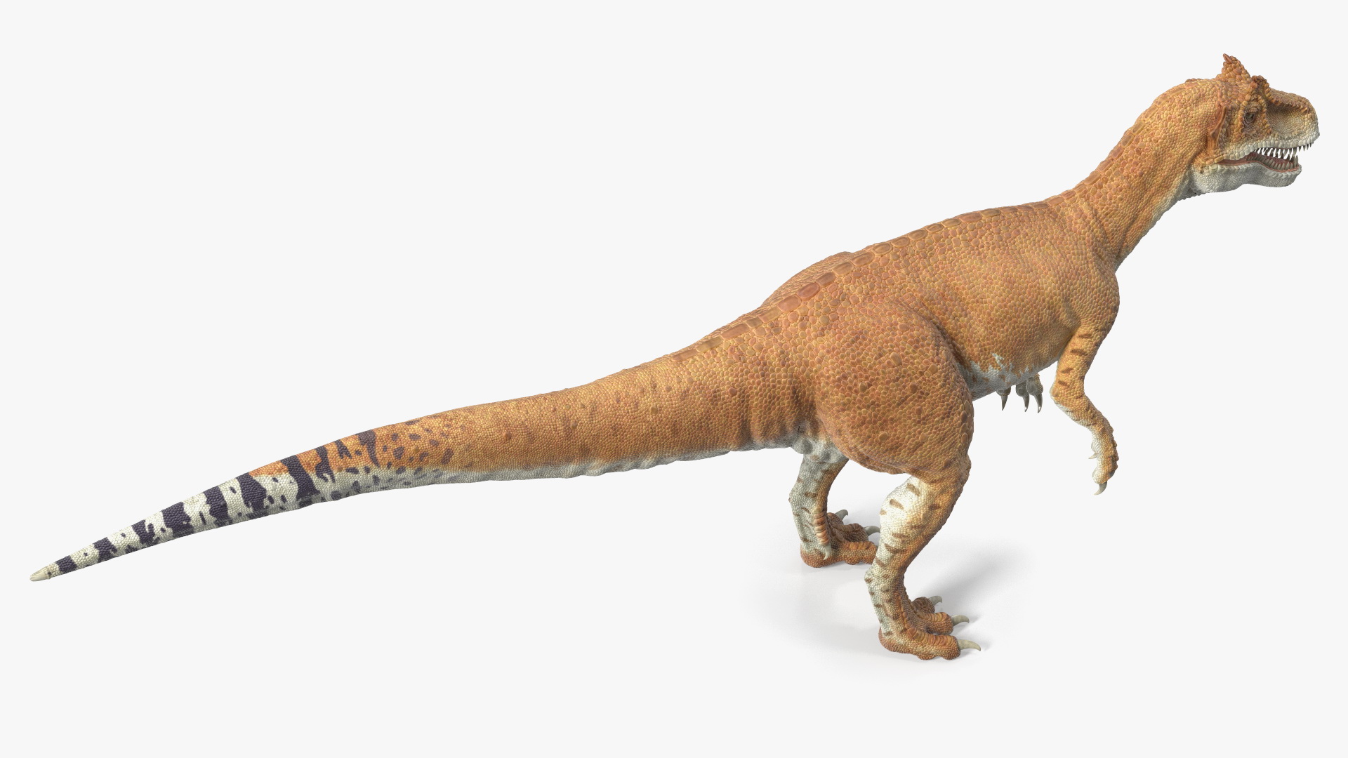 Allosaurus Yellow Coloring Rigged for Cinema 4D 3D