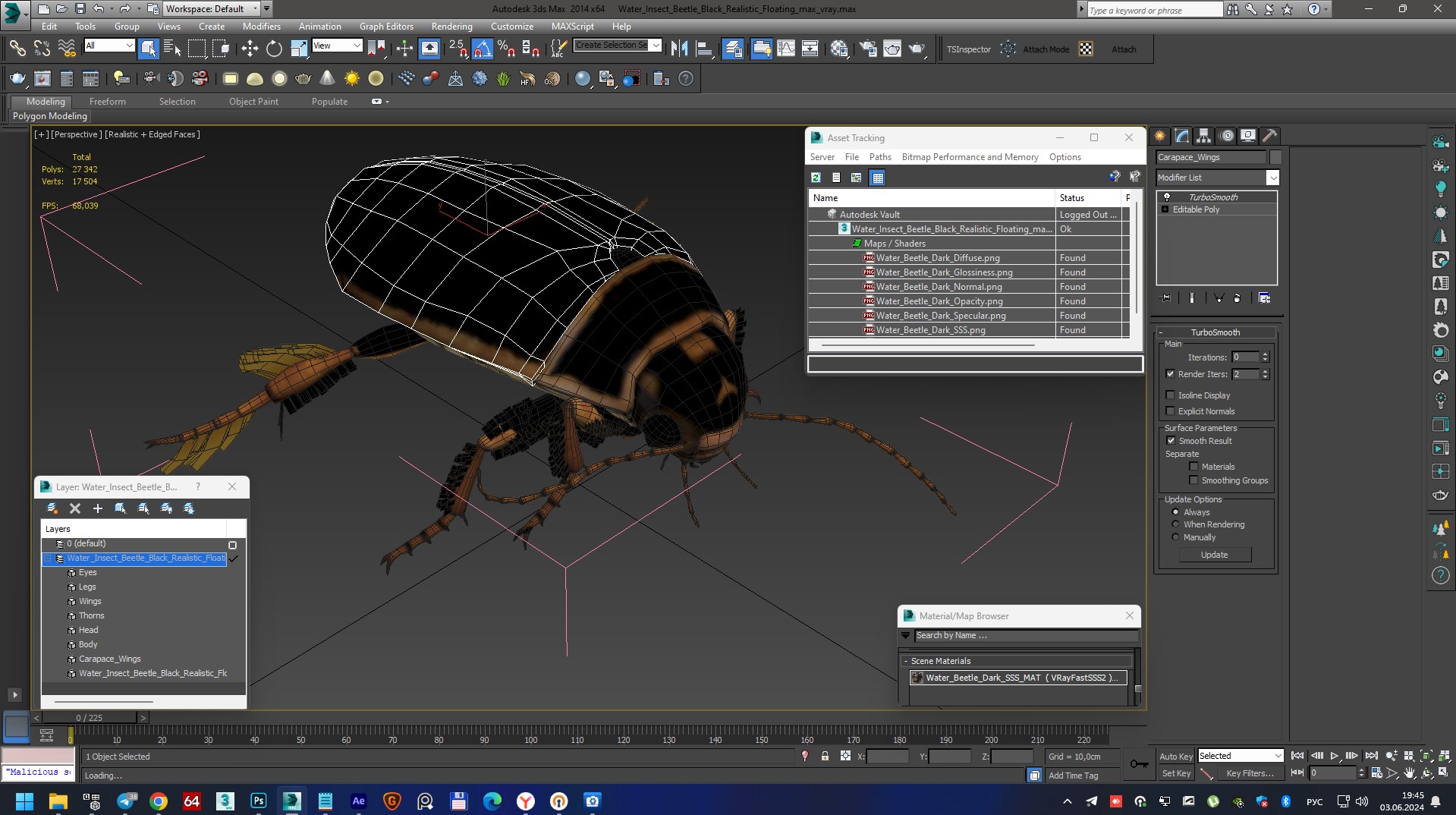 Water Insect Beetle Black Realistic Floating 3D model