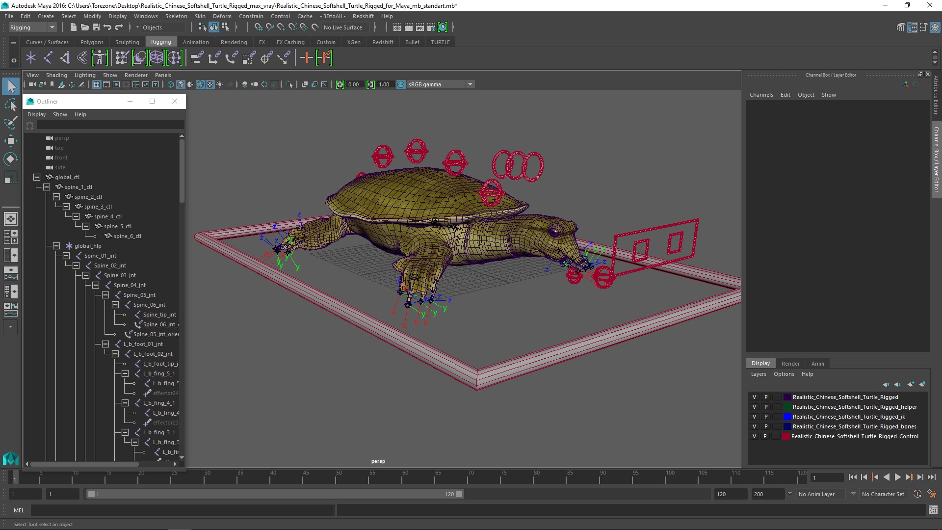 3D model Realistic Chinese Softshell Turtle Rigged for Maya