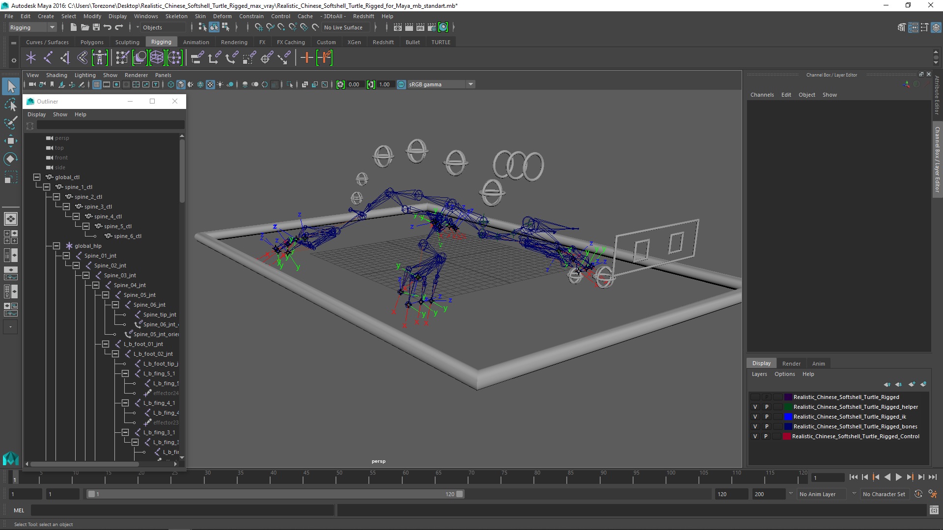 3D model Realistic Chinese Softshell Turtle Rigged for Maya