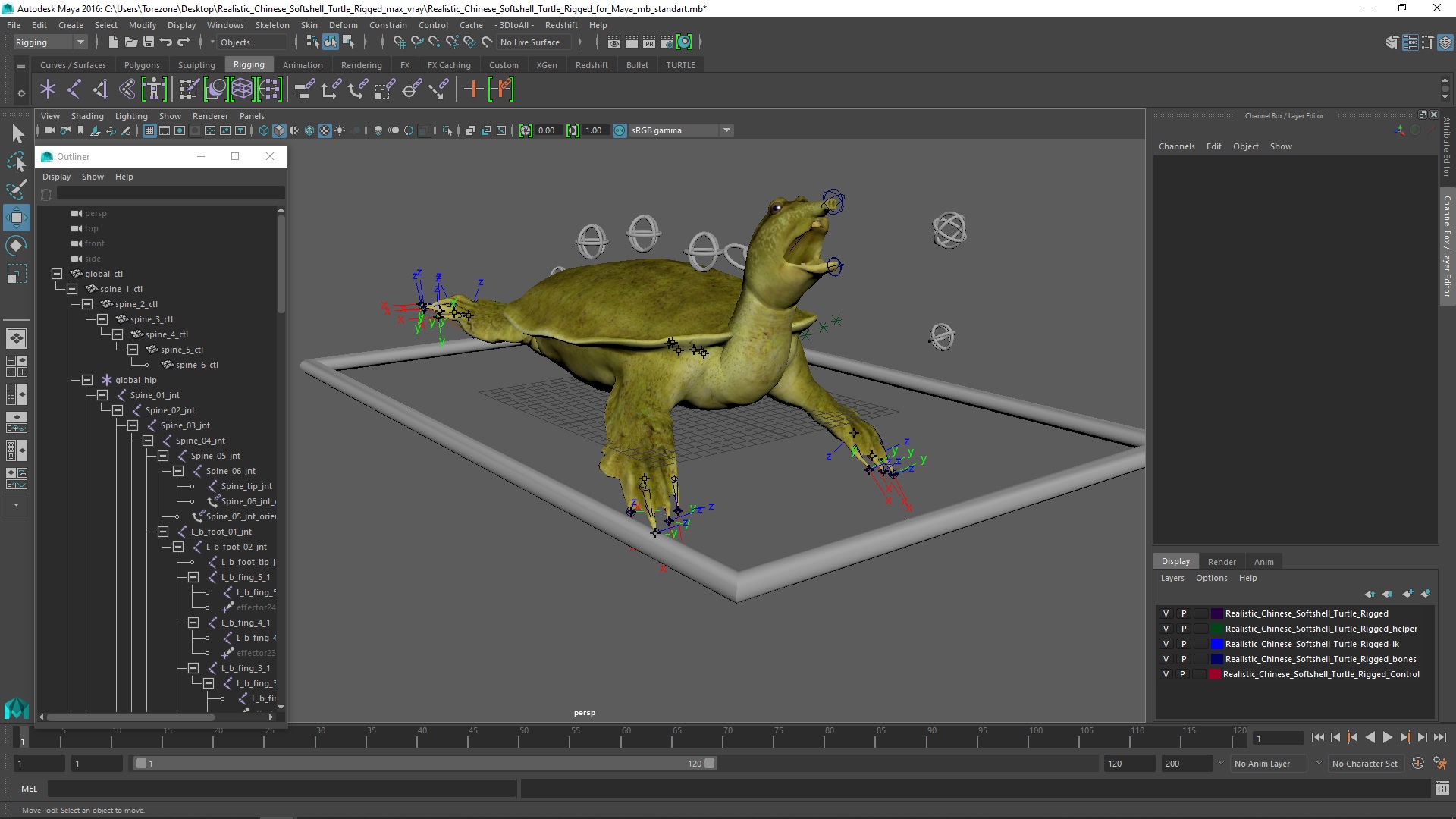 3D model Realistic Chinese Softshell Turtle Rigged for Maya