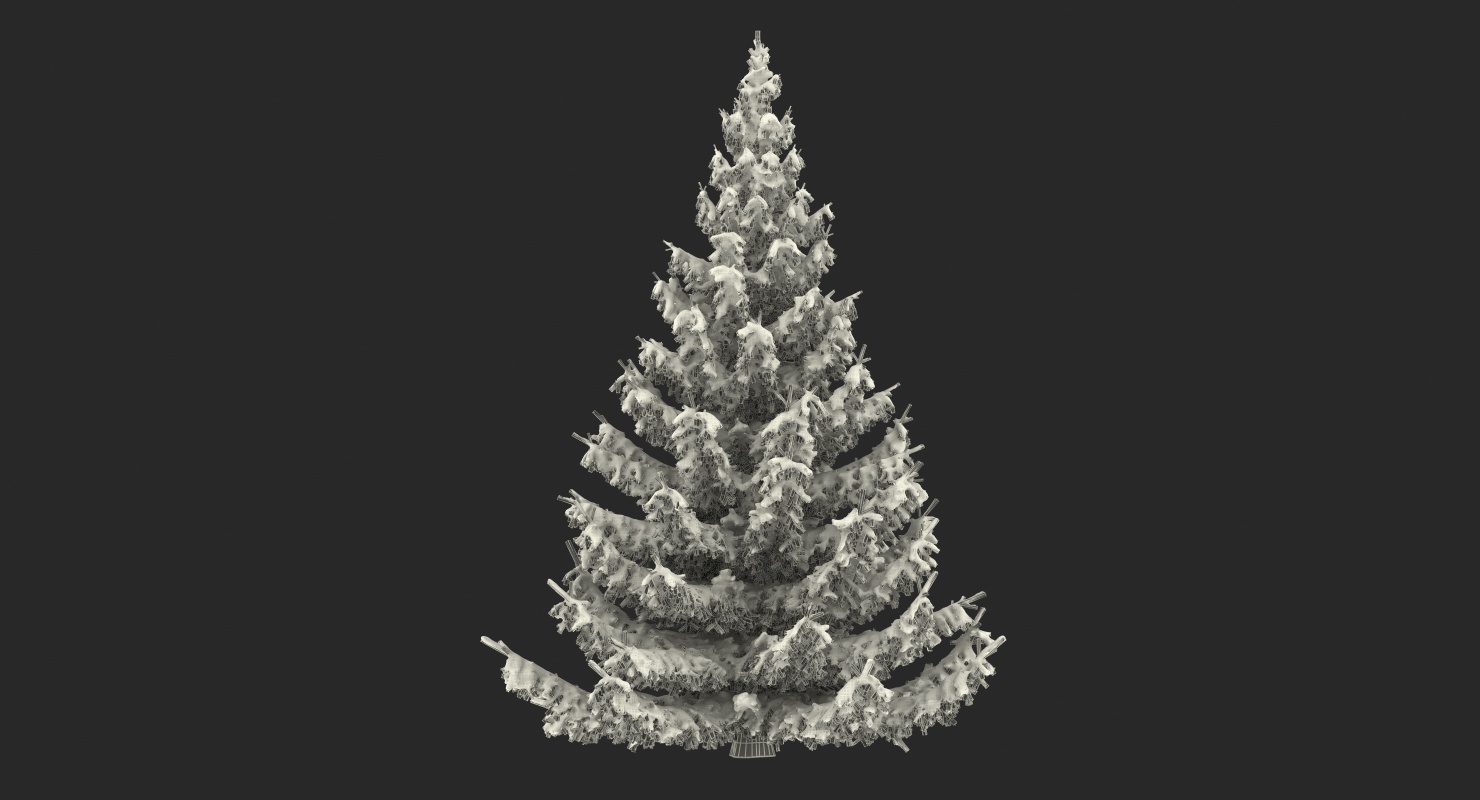 Spruce Tree Covered with Snow 3D model