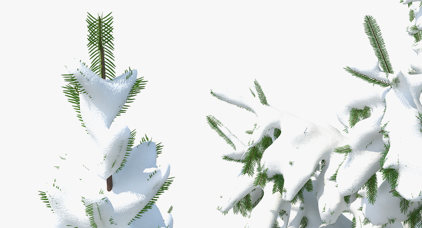 Spruce Tree Covered with Snow 3D model