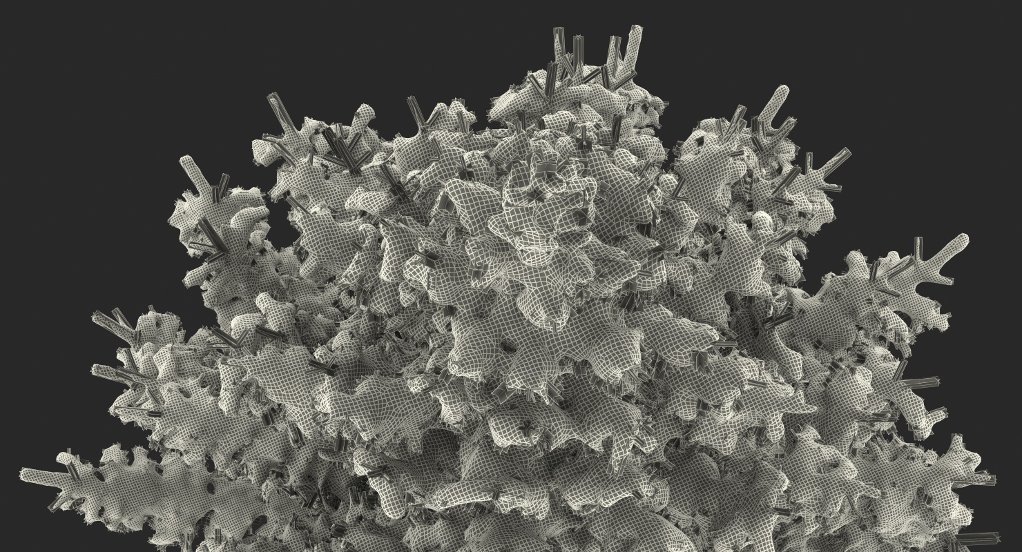Spruce Tree Covered with Snow 3D model