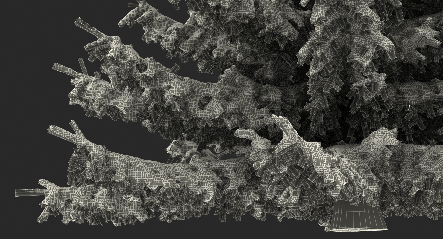 Spruce Tree Covered with Snow 3D model