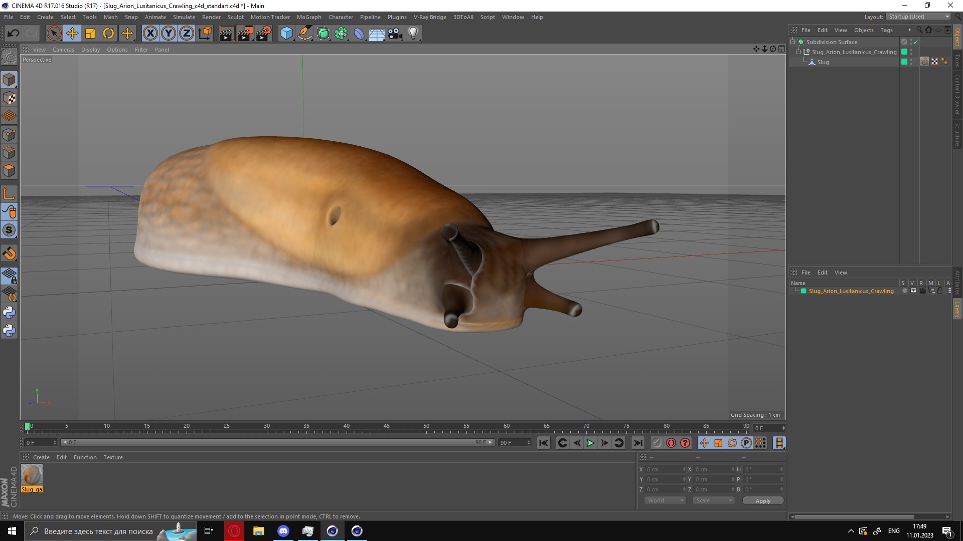 3D Slug Arion Lusitanicus Crawling
