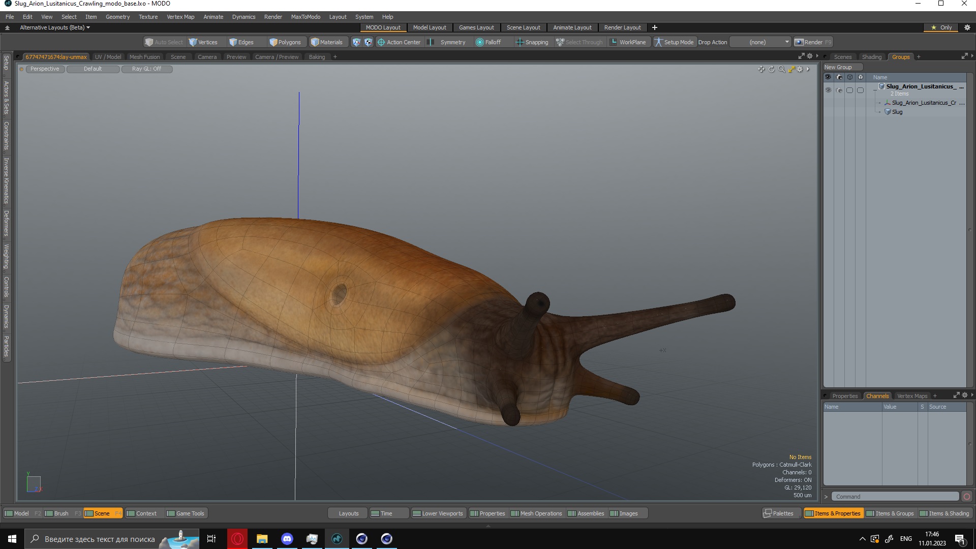 3D Slug Arion Lusitanicus Crawling