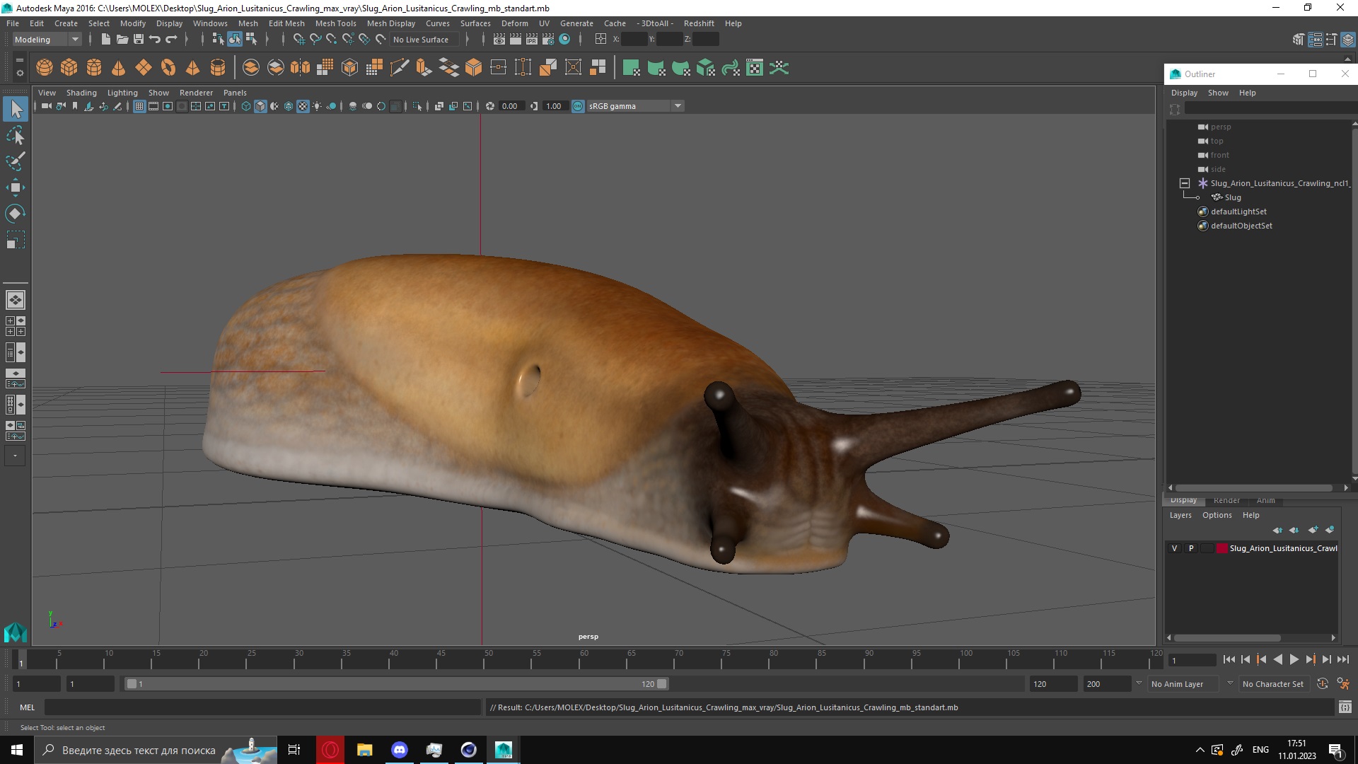 3D Slug Arion Lusitanicus Crawling