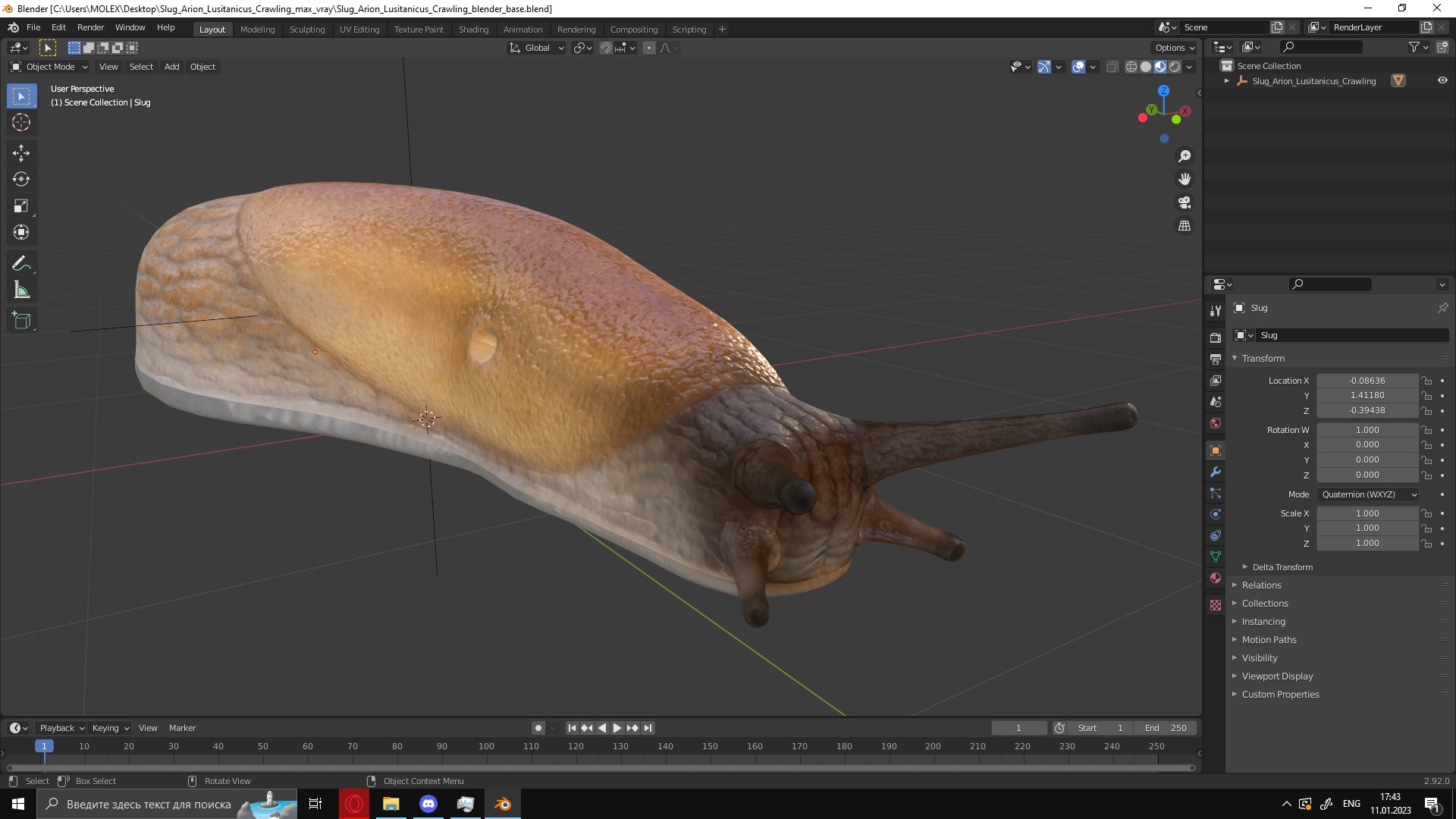 3D Slug Arion Lusitanicus Crawling