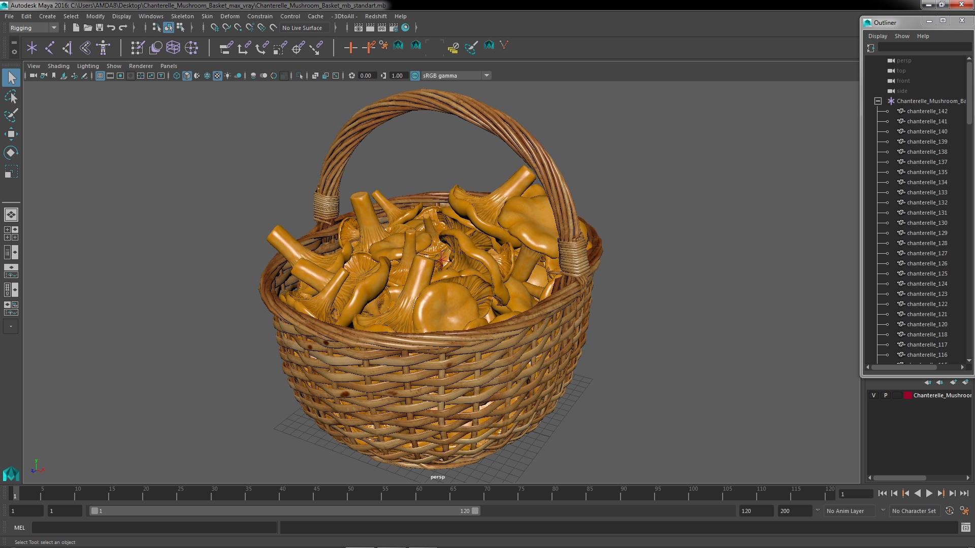 Chanterelle Mushroom Basket 3D