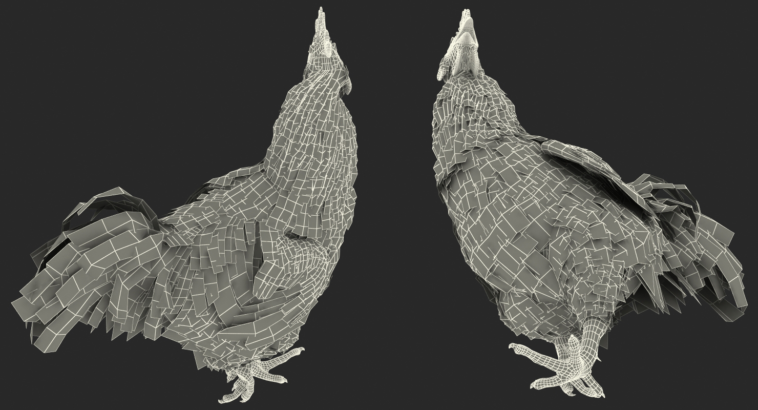 Brown Hen Standing on one Leg 3D model